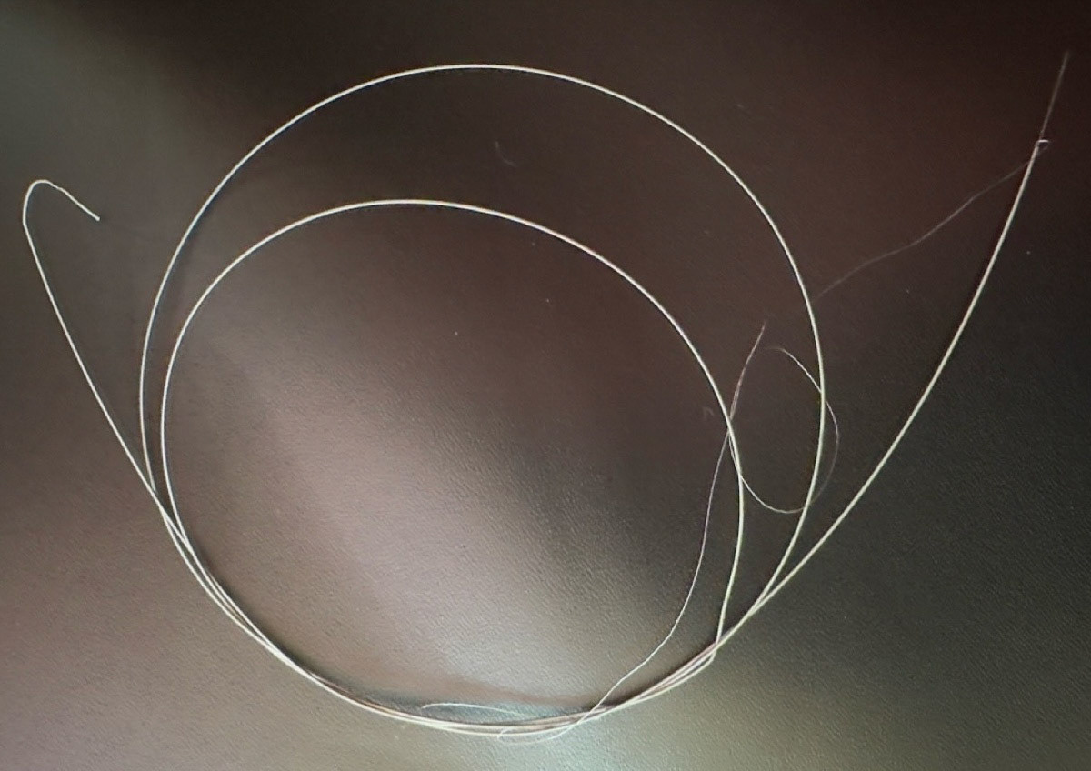 Weasel's broken string (The Flying Luttenbachers, 6/6/24)