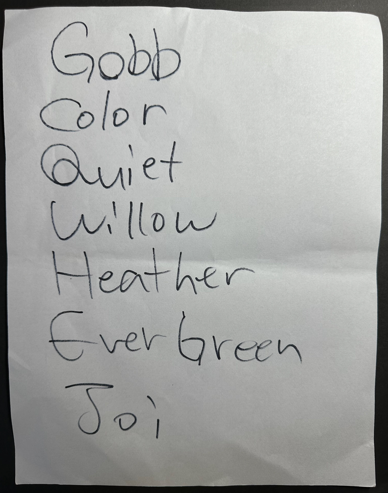 The Veldt @ Johnny Brenda's 5/19/24