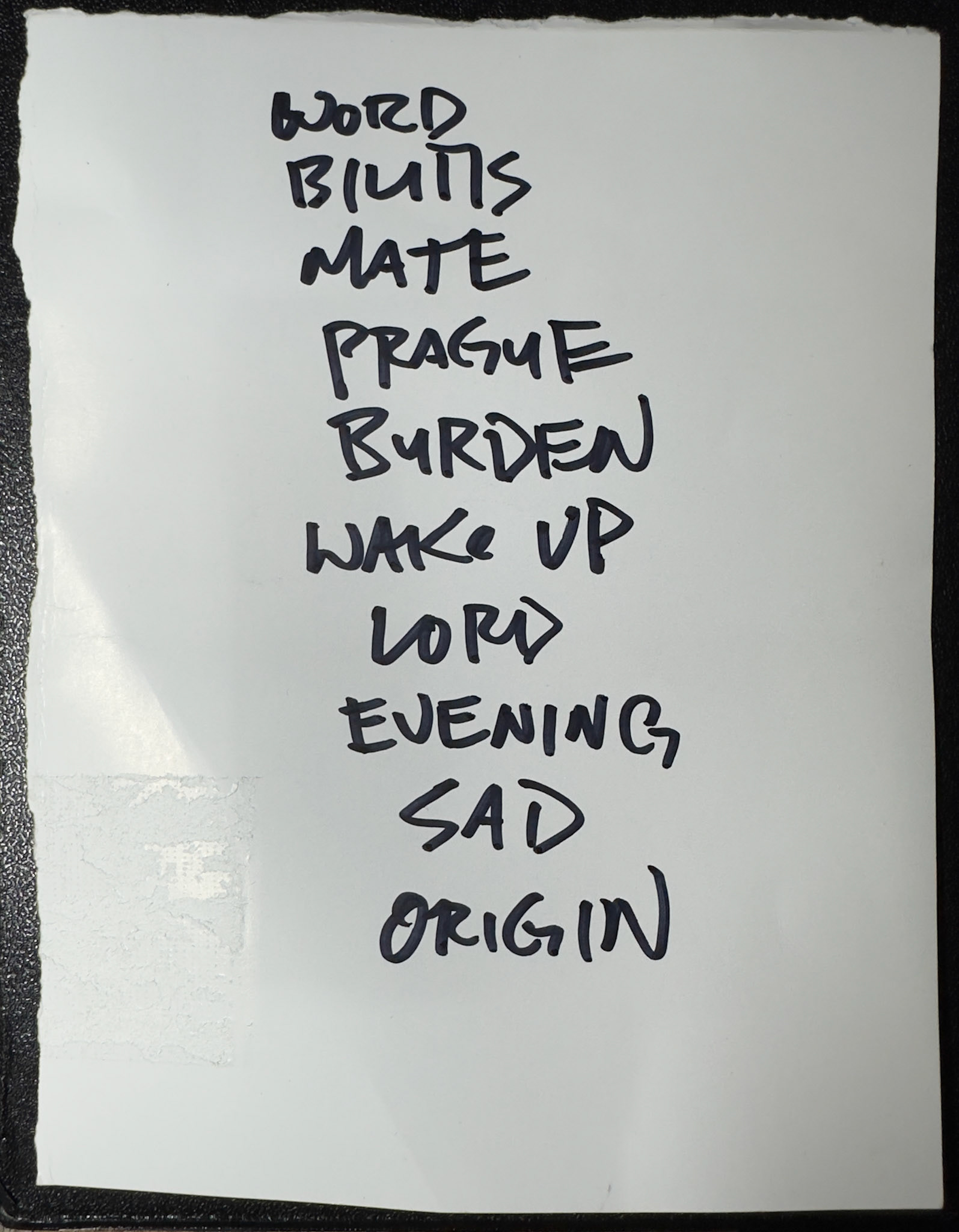 Grails @ PhilaMOCA 6/30/24