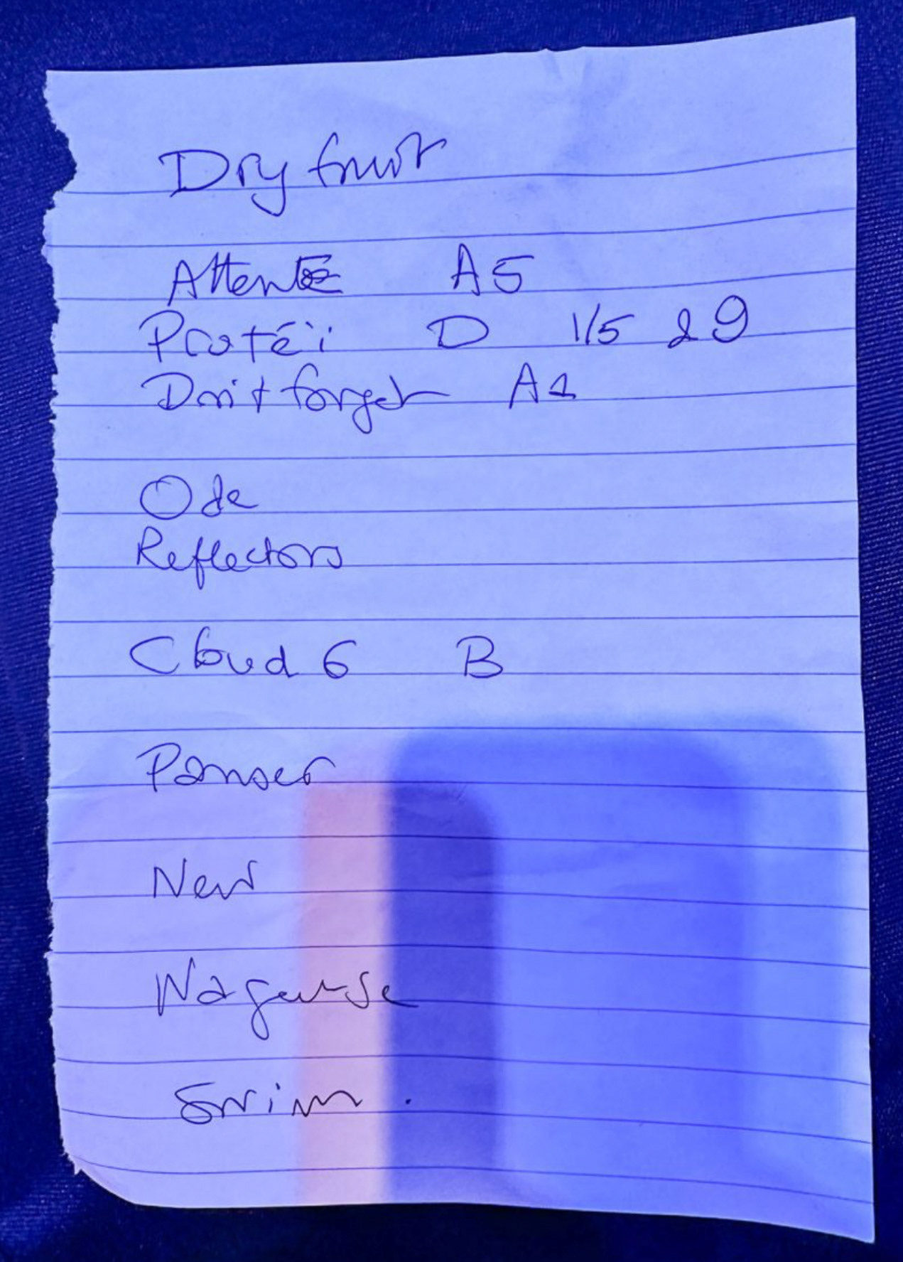 Laetitia Sadier @ National Sawdust 3/20/24