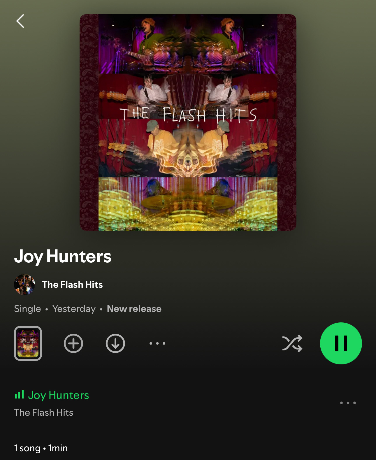 Digital single cover for The Flash Hits' "Joy Hunters" (2025)