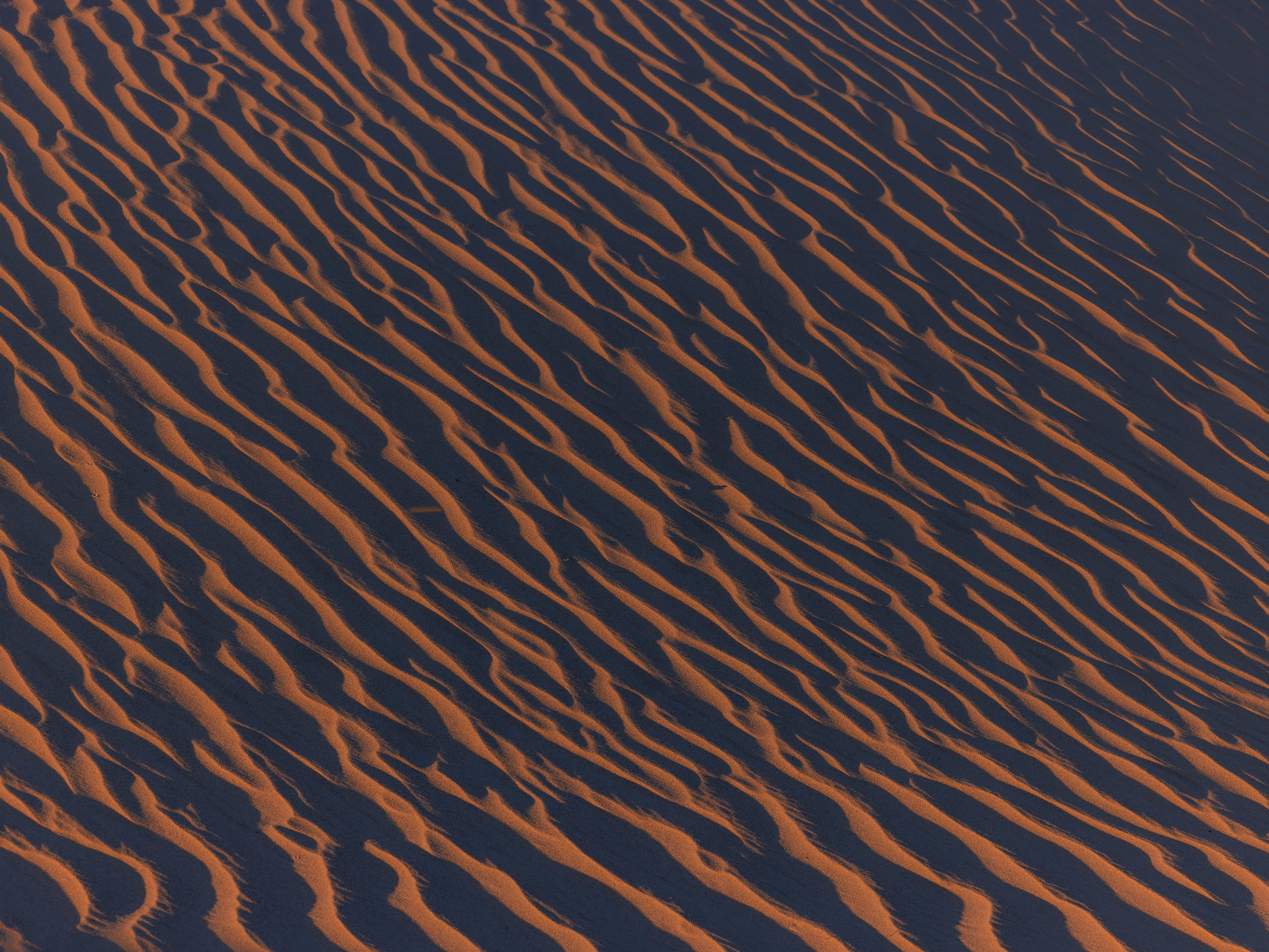 Grain by Grain