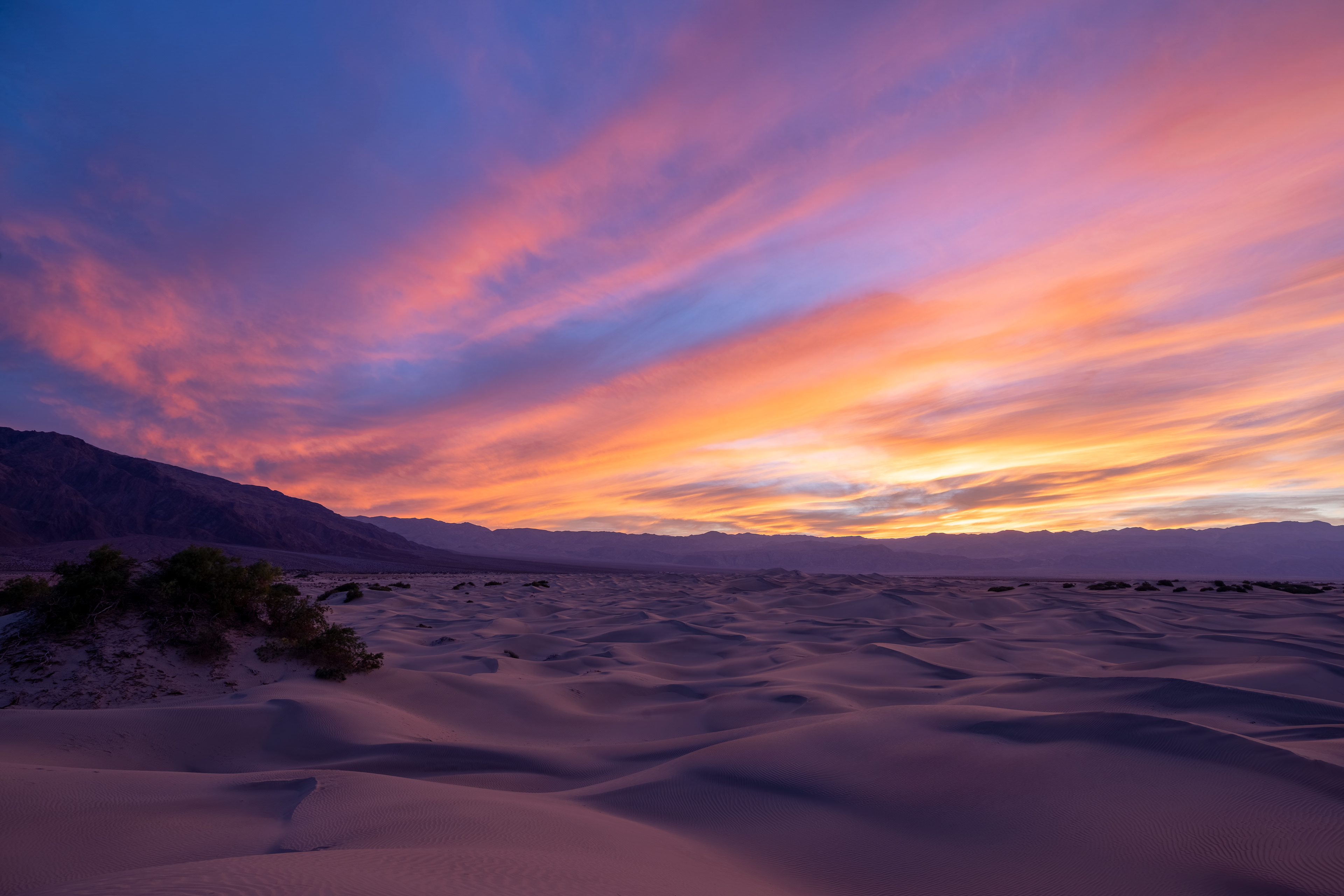 Twilight Over the Dunes
