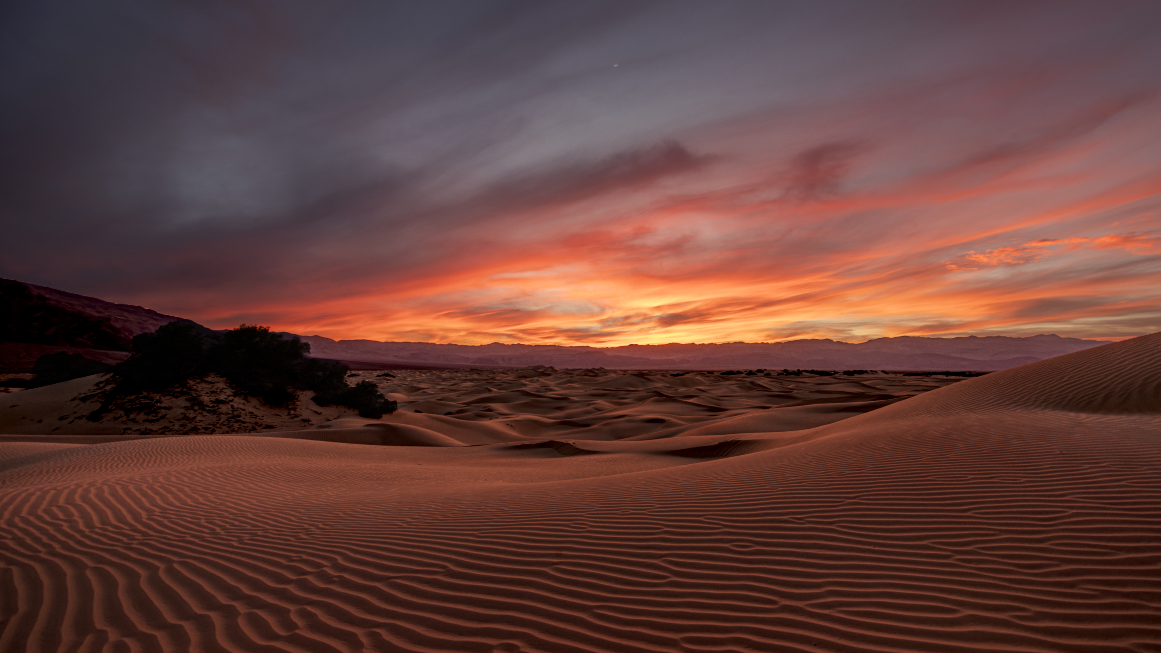 Desert Glow