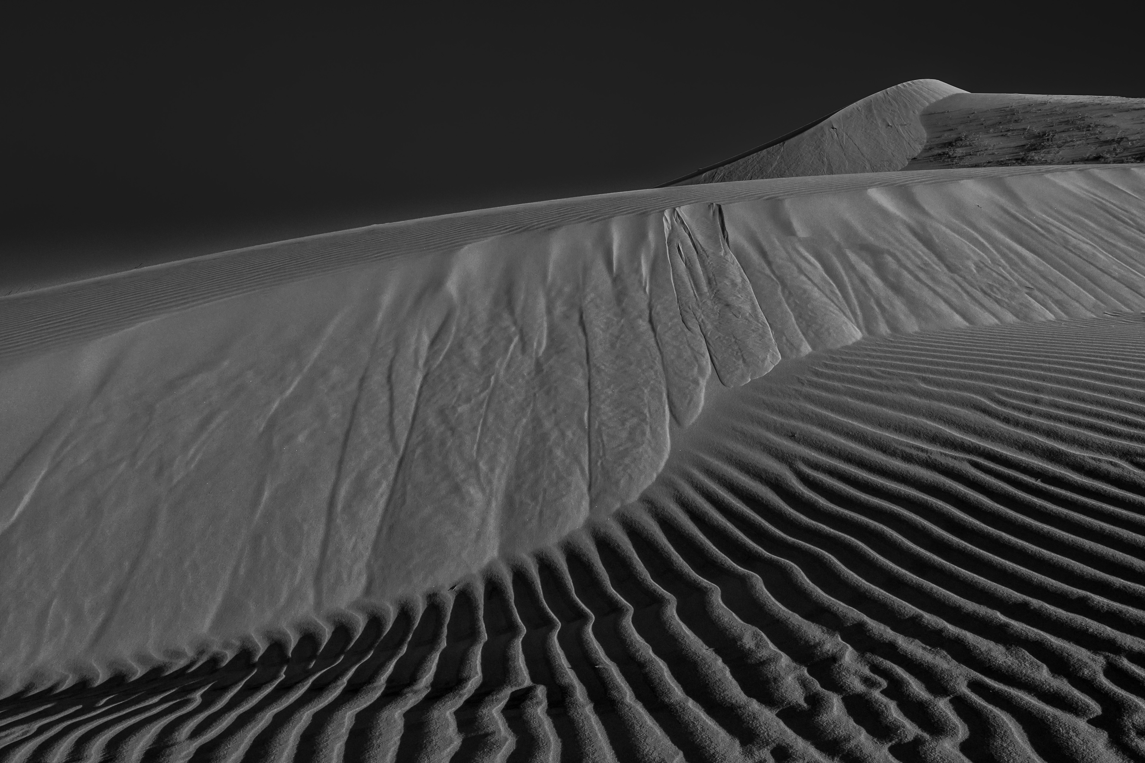 Sculpted by Wind