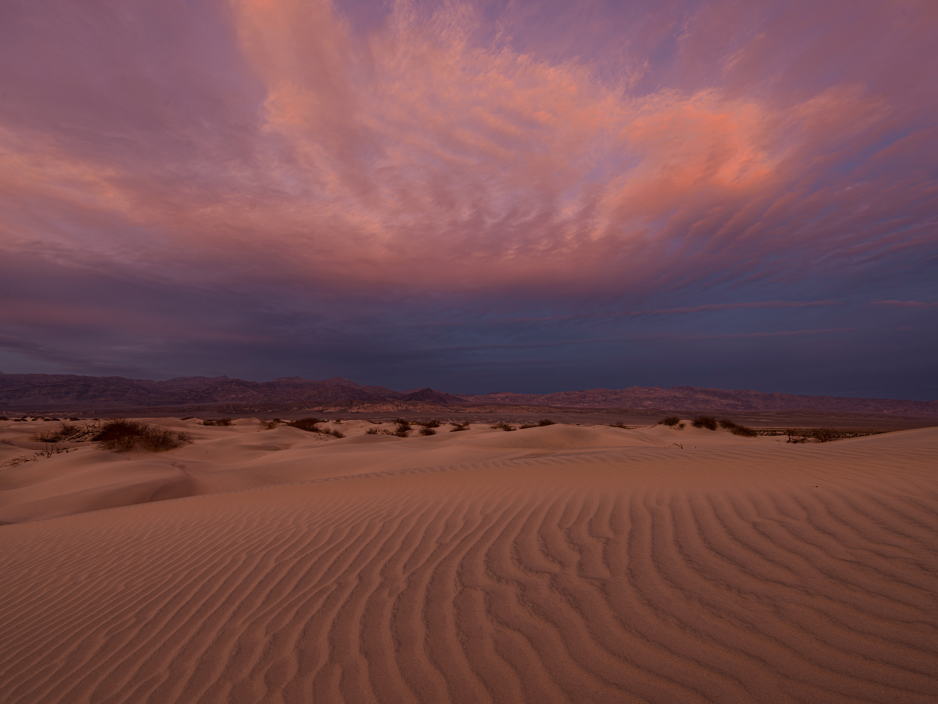 Dusk at Mesquite