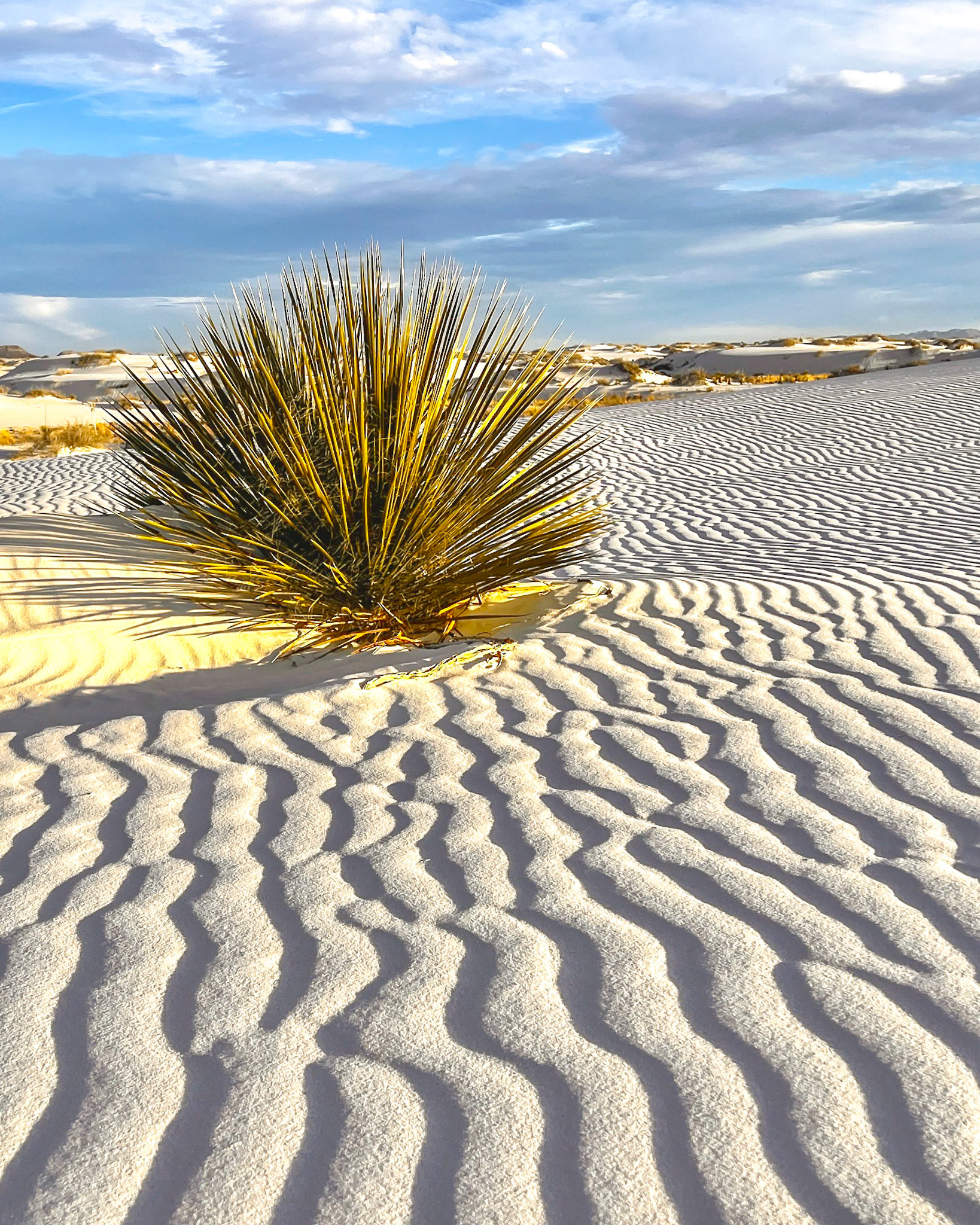 White Sands