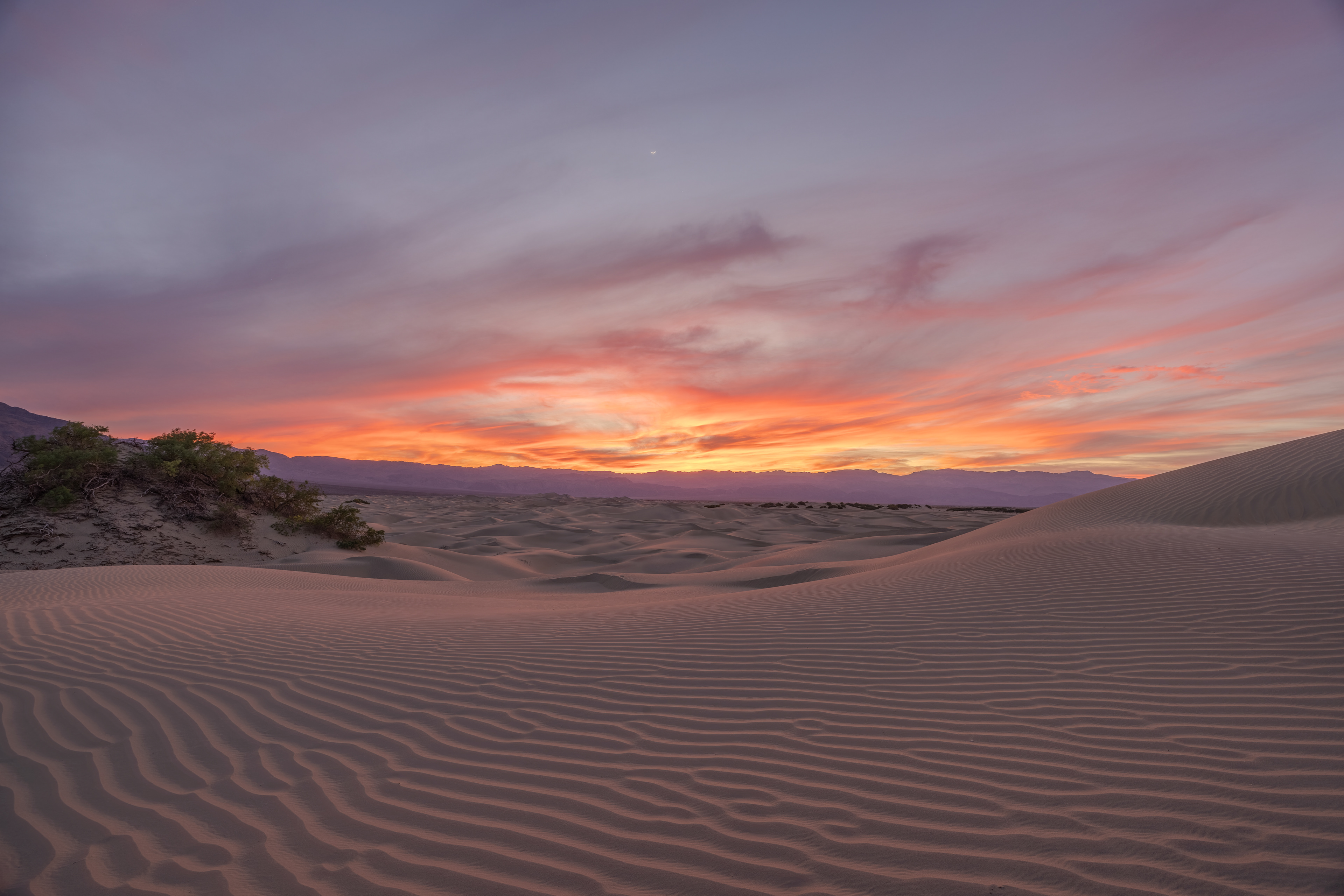 Mesquite Dunes Crest