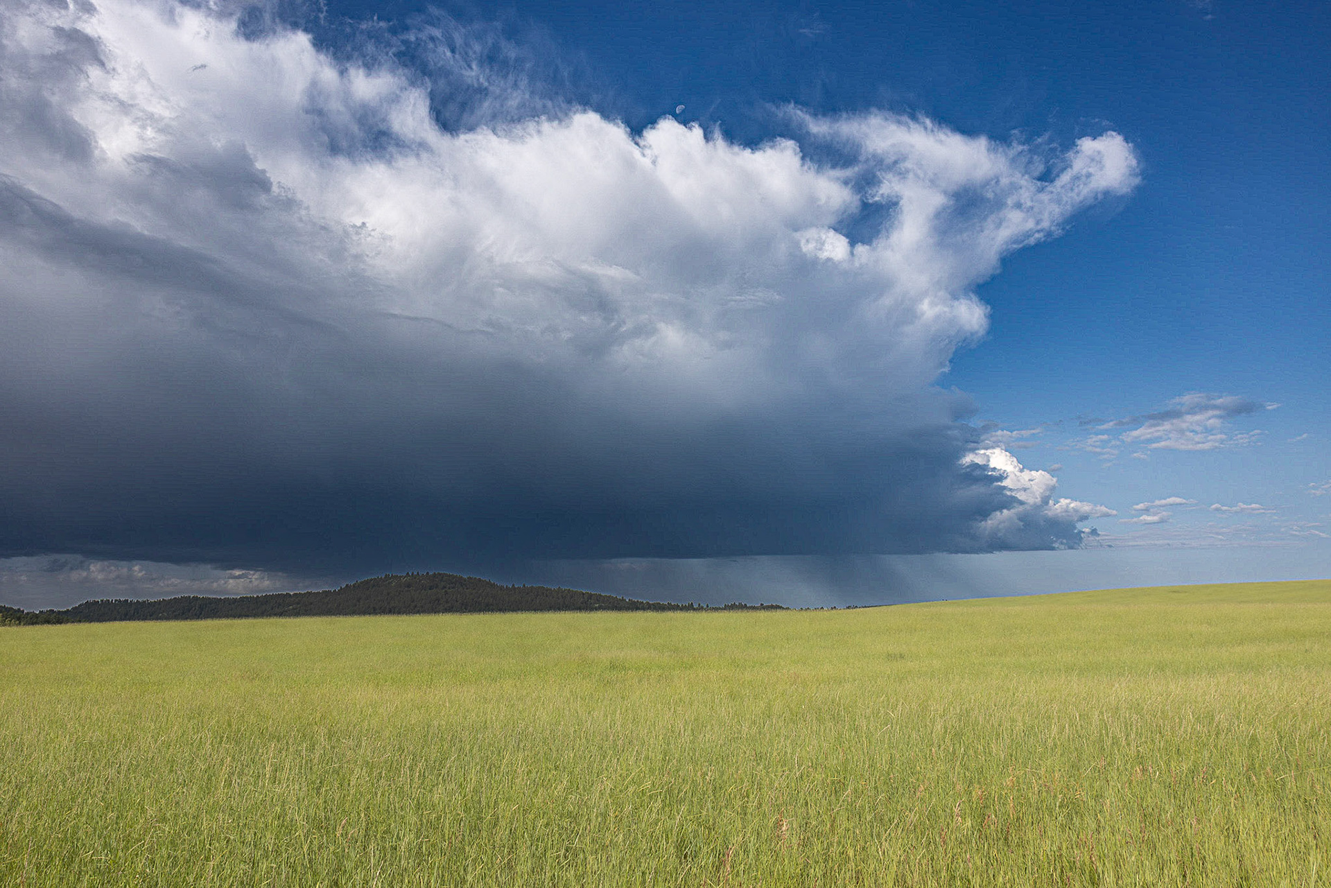 Storm