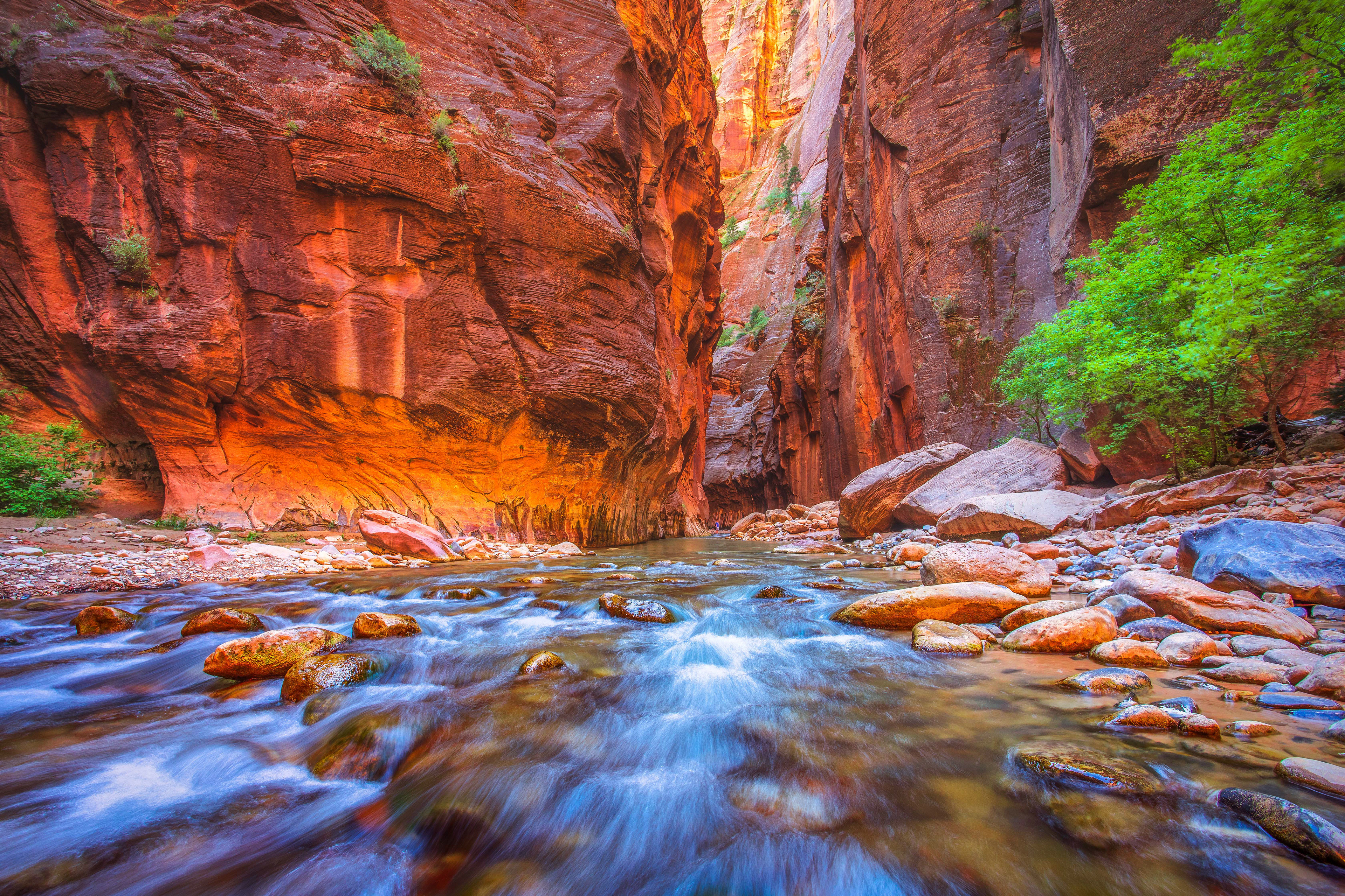Desert Stream