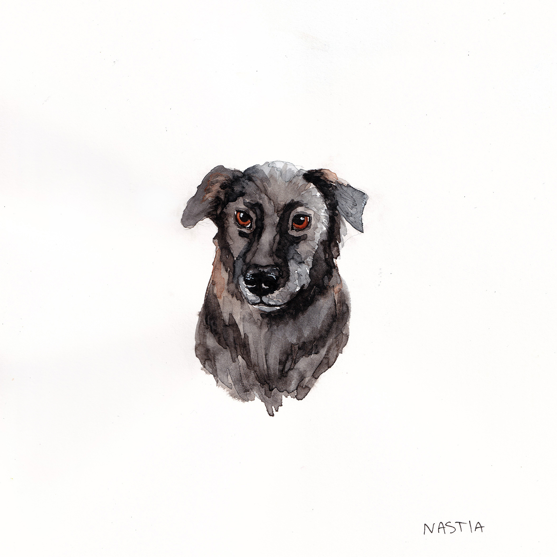Kuma