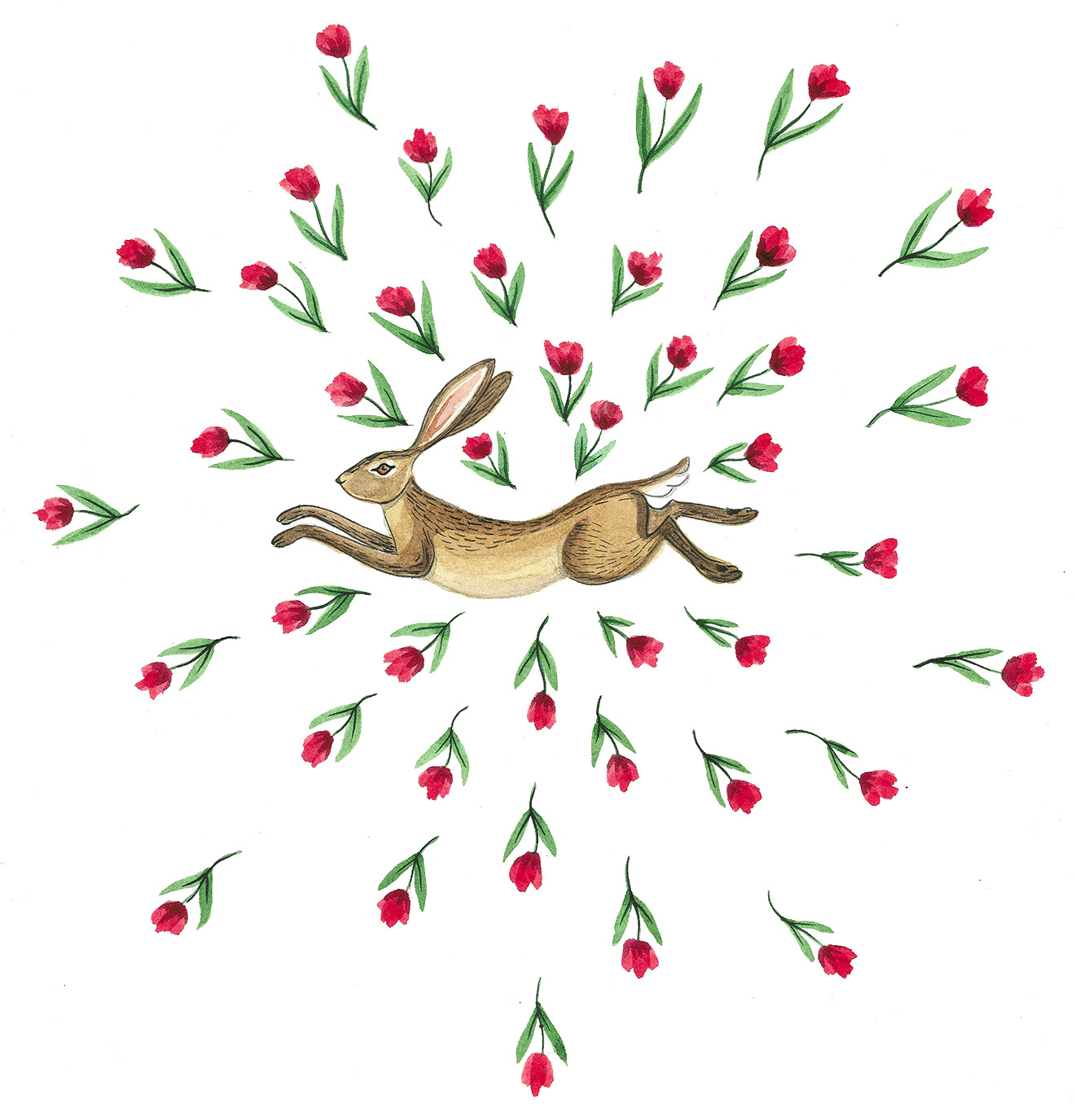 Leaping Hare, 2021, pencil, watercolor, on paper. 