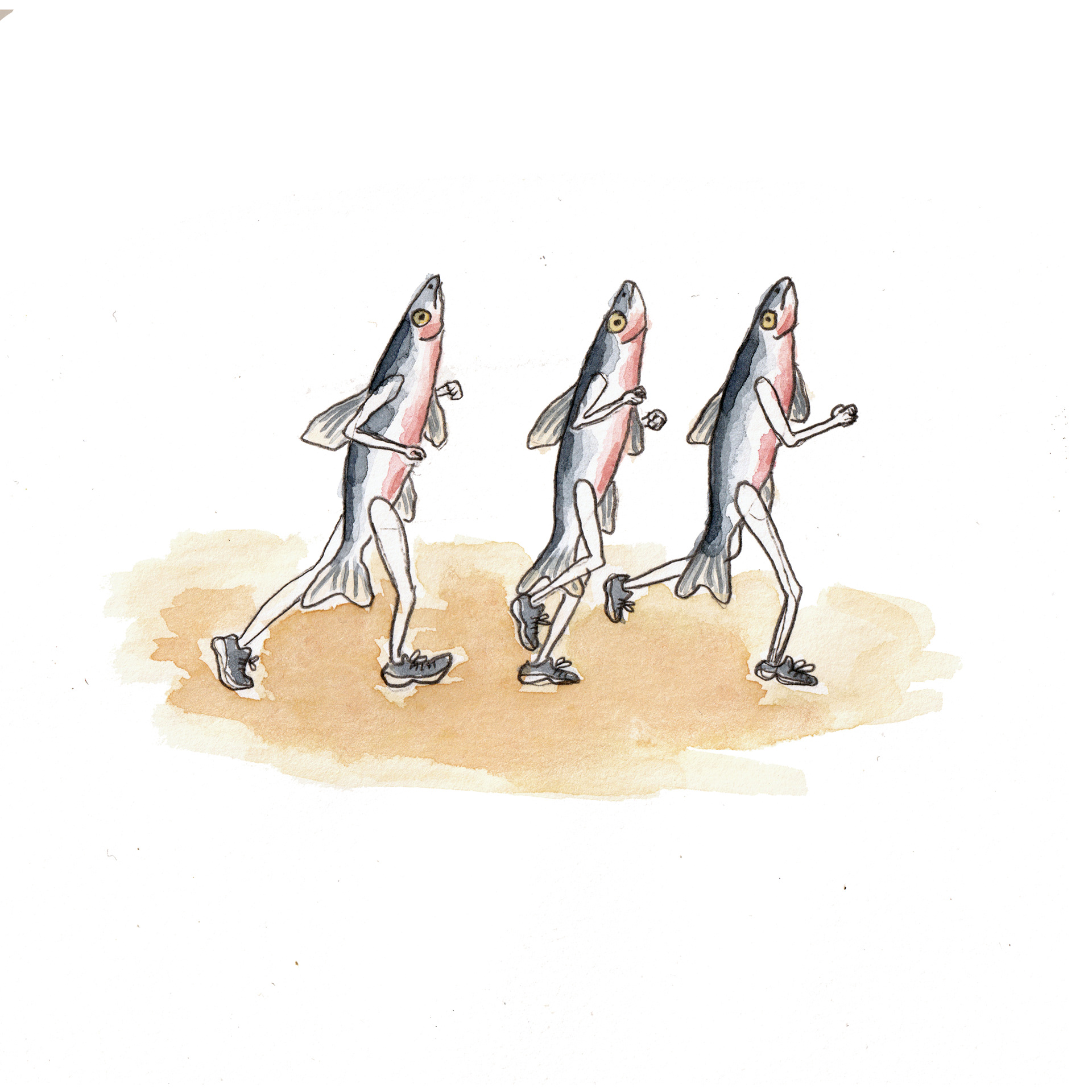 Fish runners. Pencil, watercolor, on paper. 