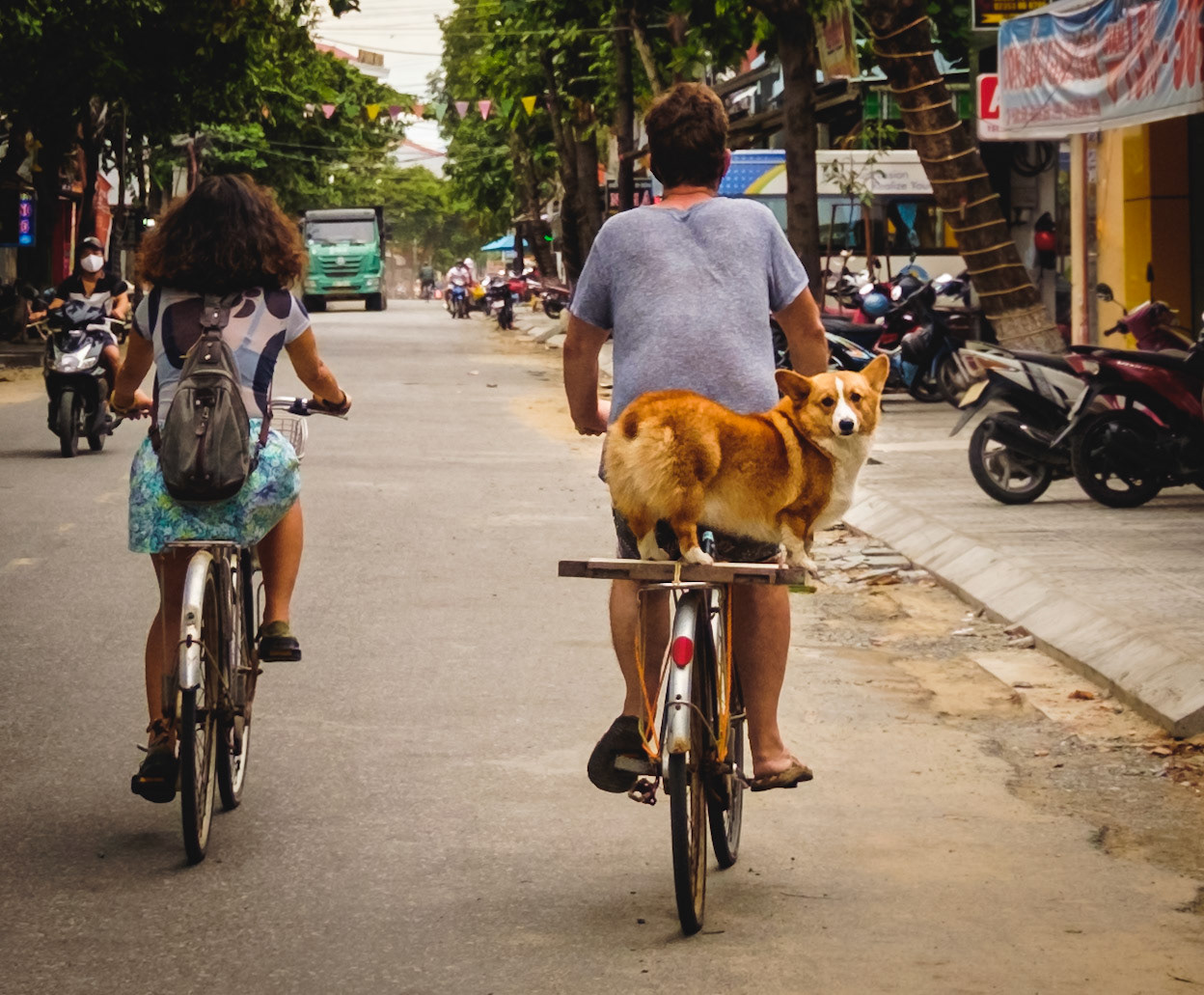 ban dog meat in hoi an