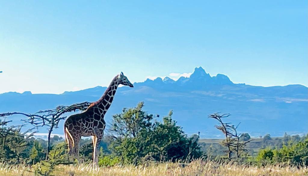 Outstanding views of Mount Kenya