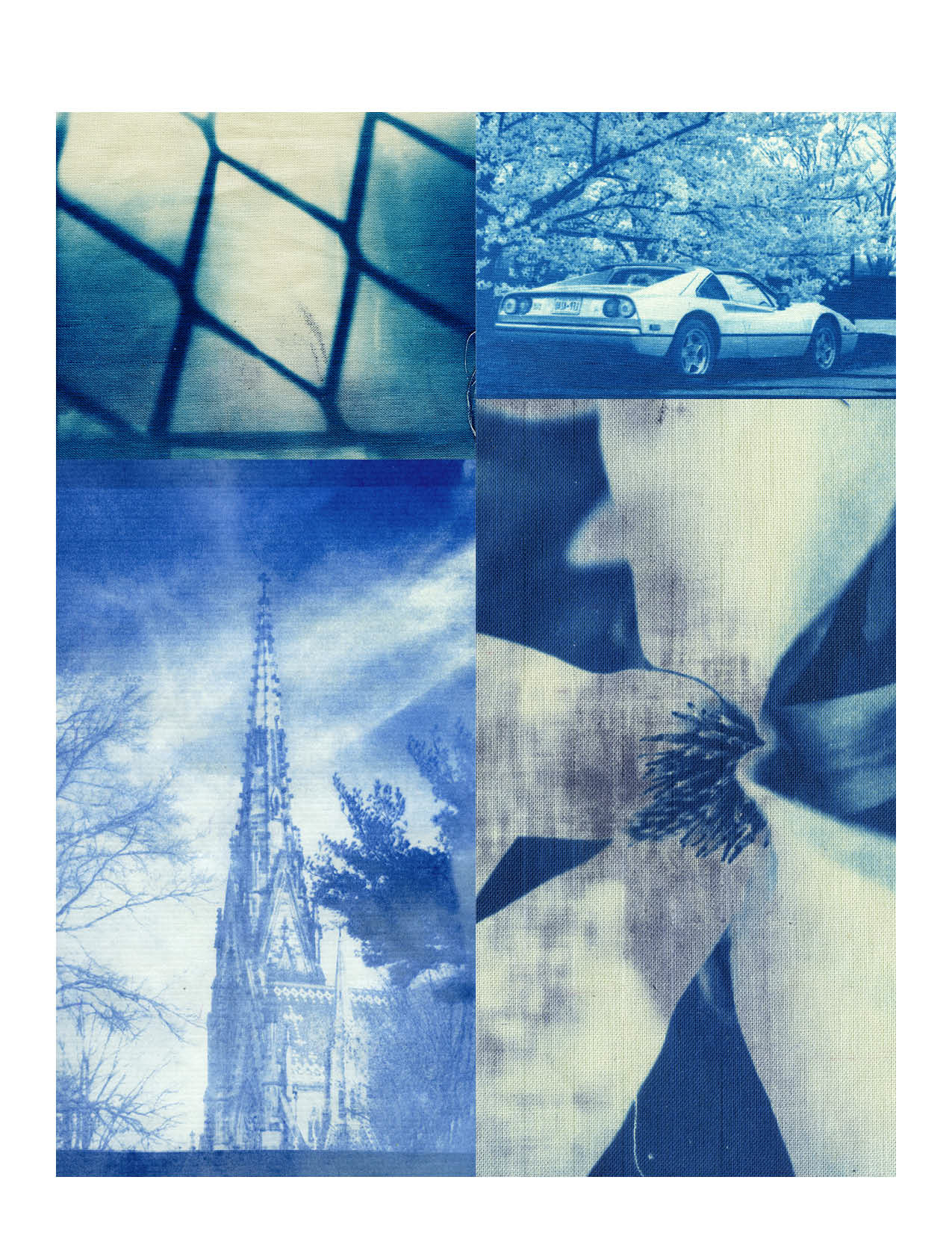 Cyanotypes