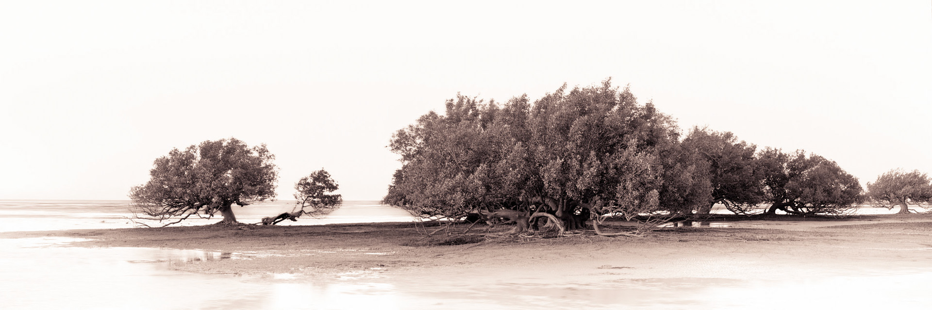 Gnoorea Point - Order Code Pilb045