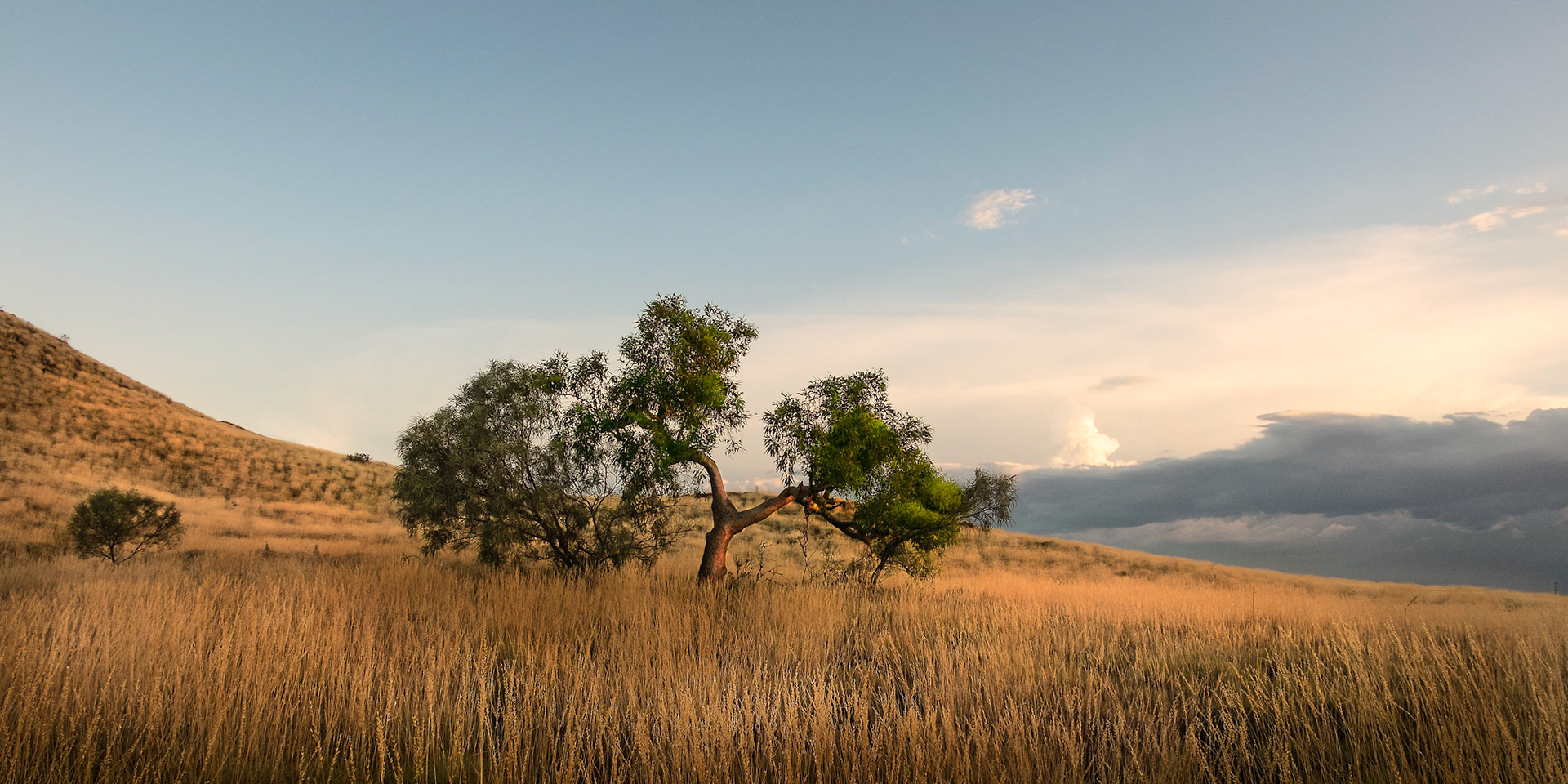 Karratha Outskirts - Order Code Pilb006