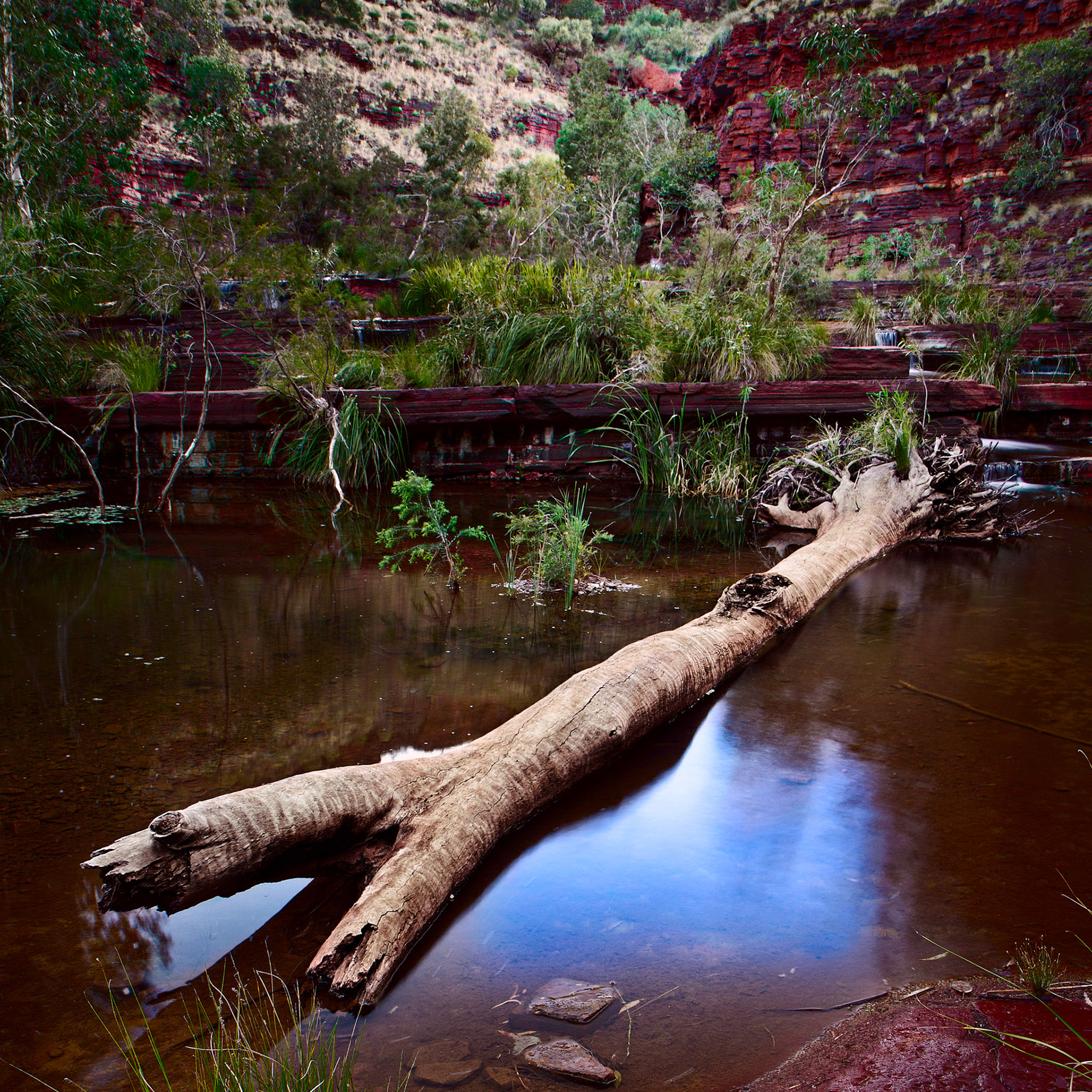 Peter's Log - Order Code Karij006