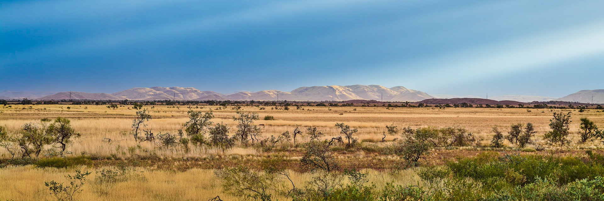 Karratha Station - Order Code Pilb009