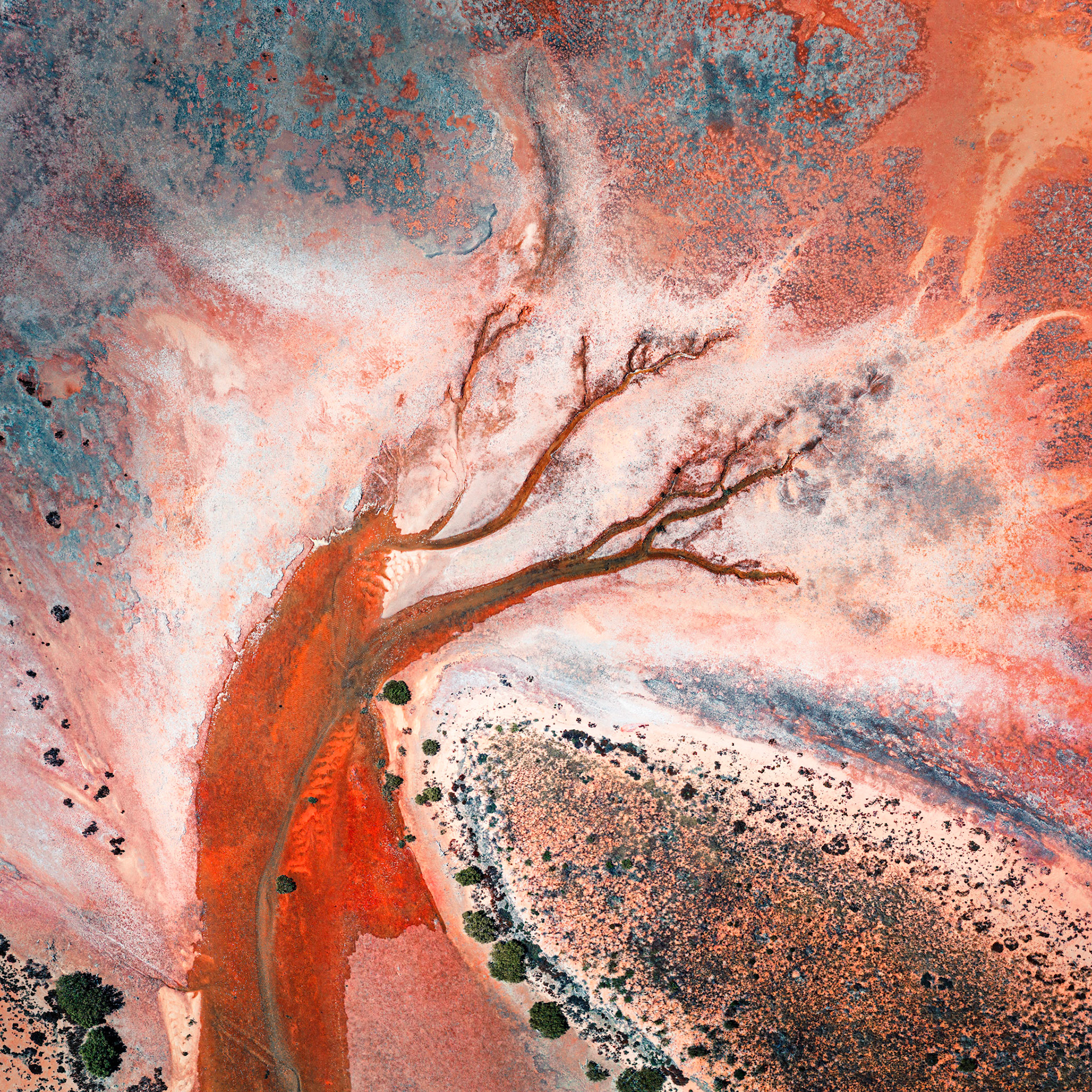 Gnoorea point, Reaching Out - Order Code Pilb066