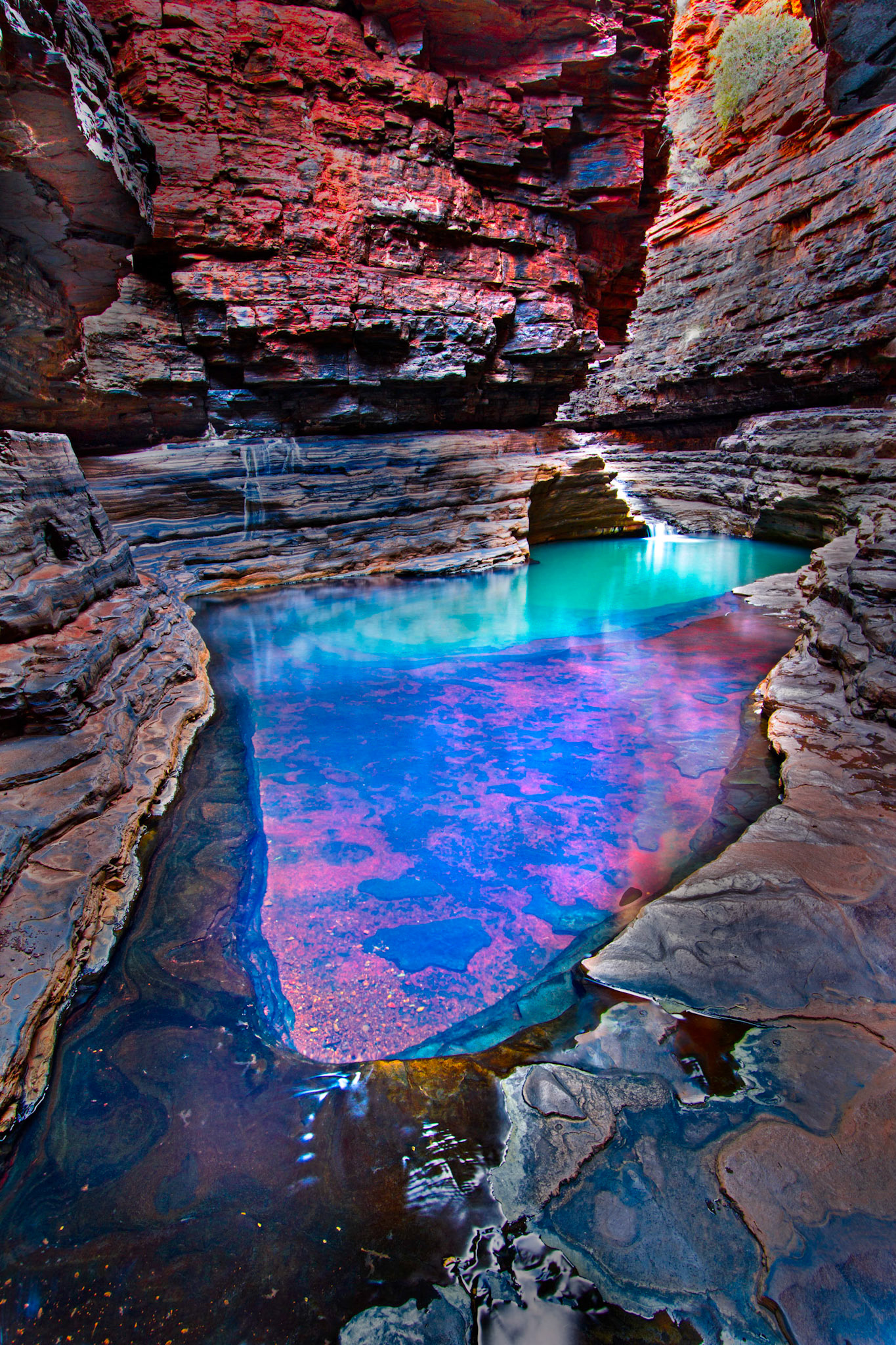 Kermits Pool - Order Code Karij004