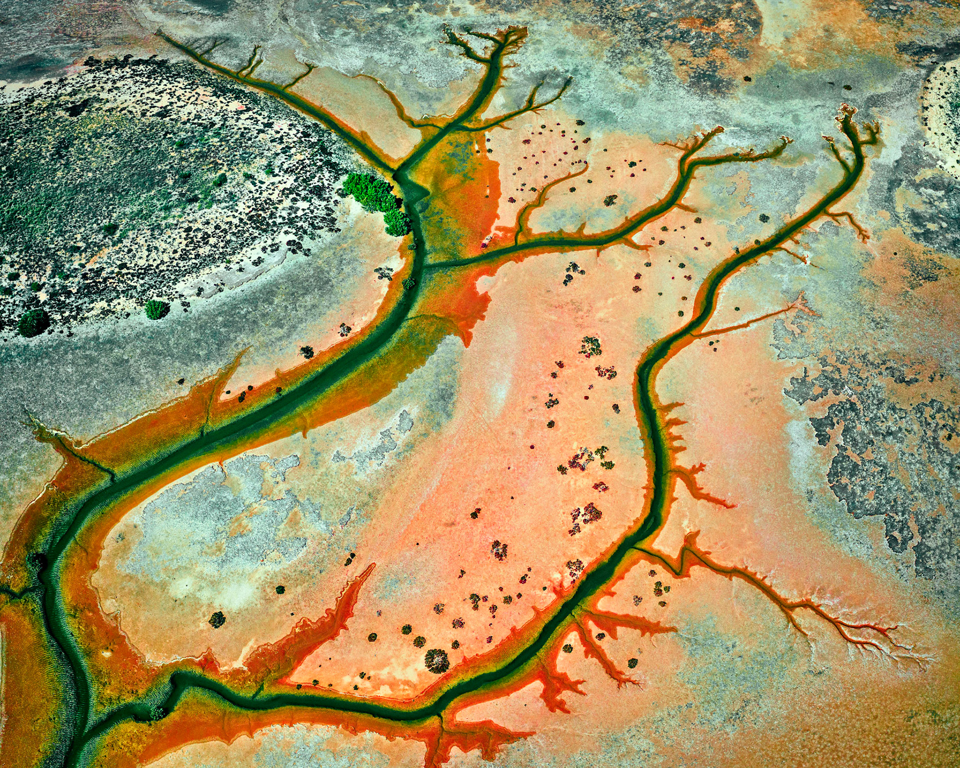 Gnoorea point - Order Code Pilb067