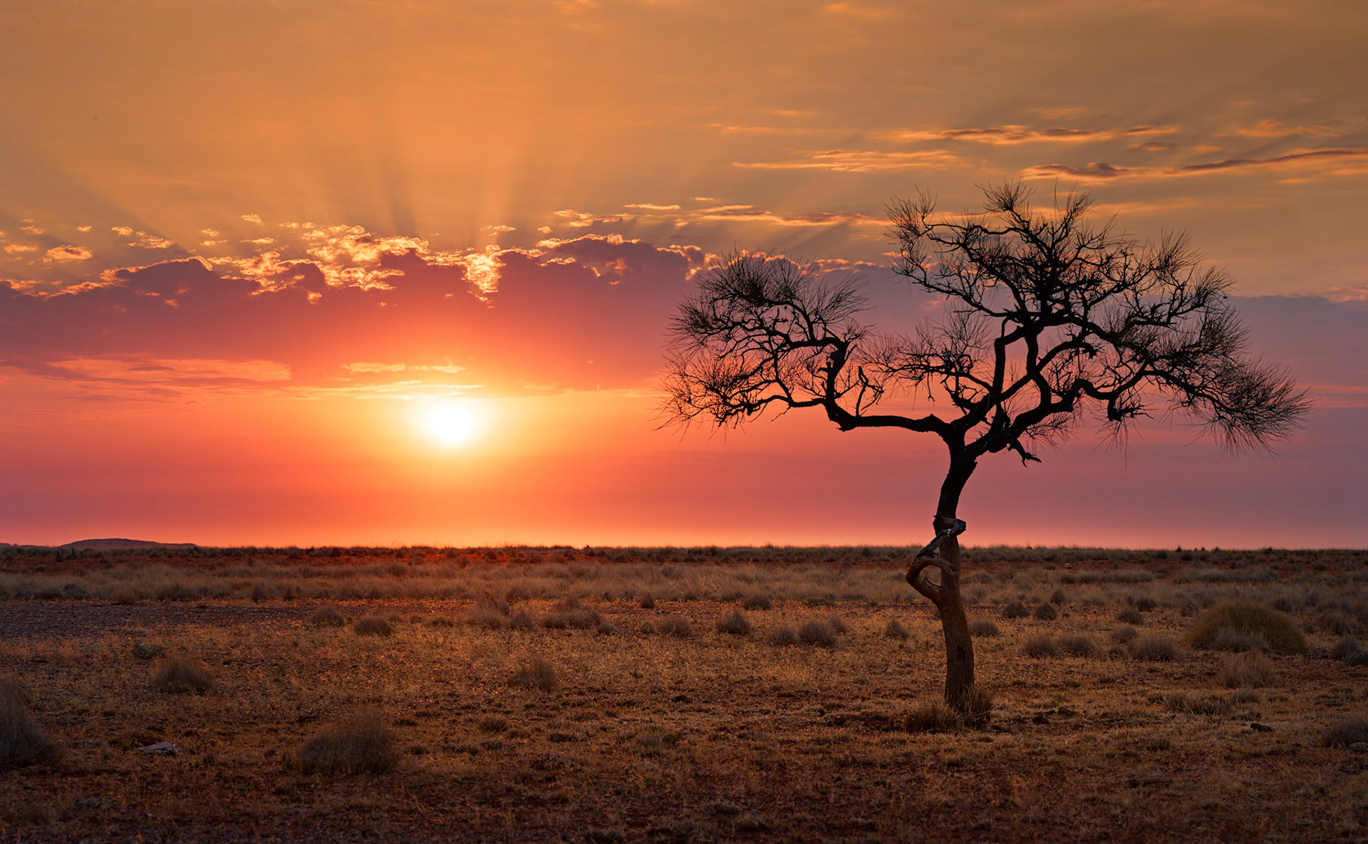 Pilbara Sunset - Order Code Pilb016