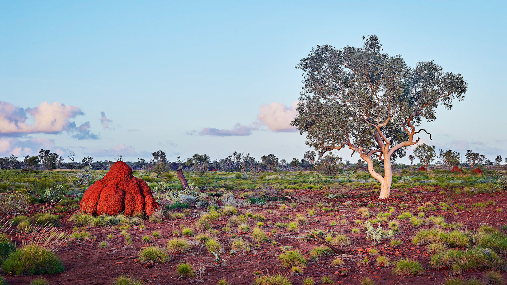 Millstream Chichester NP - Order Code Pilb060