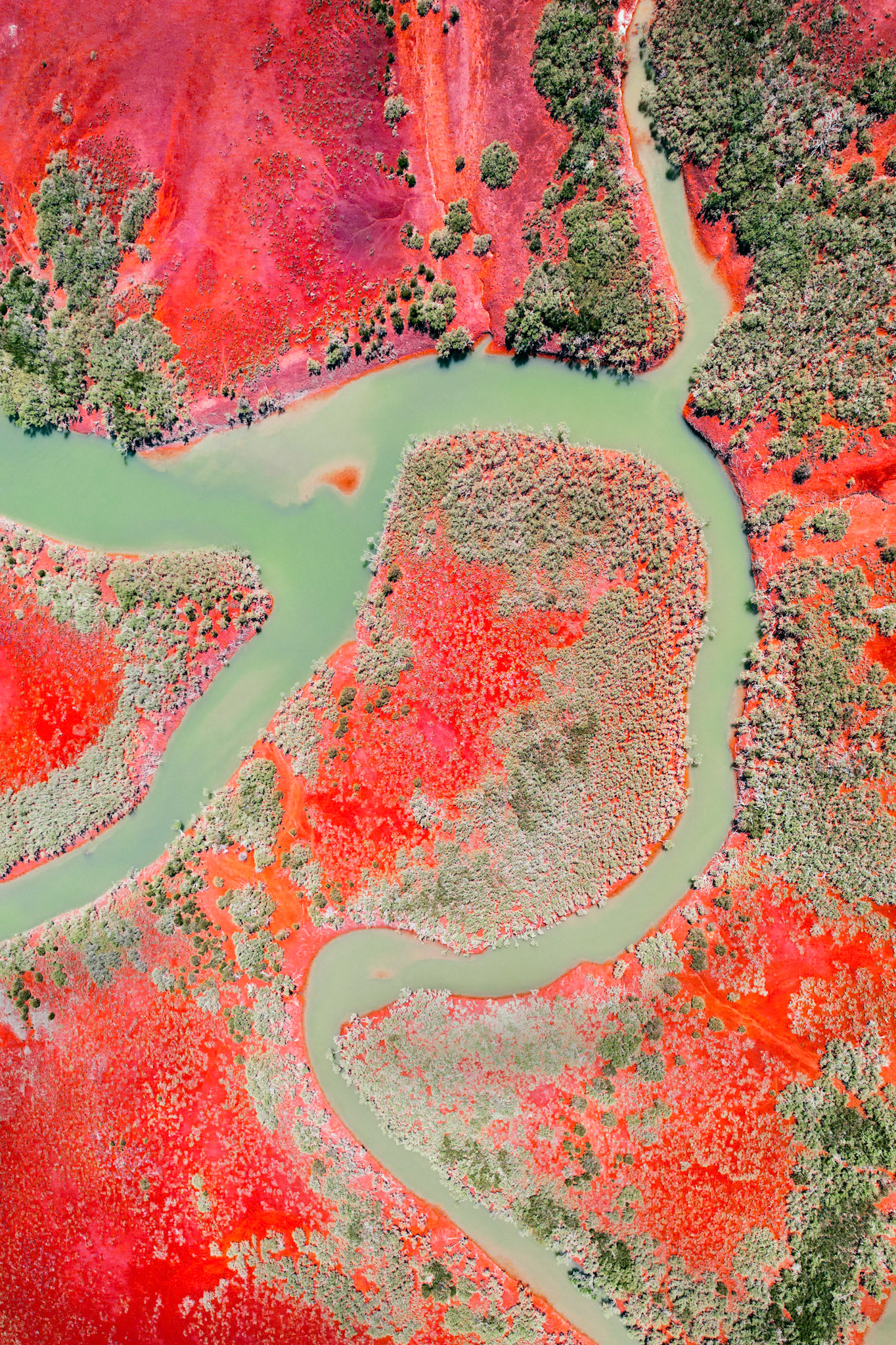 Cleaverville Creek reds - Order Code Pilb057