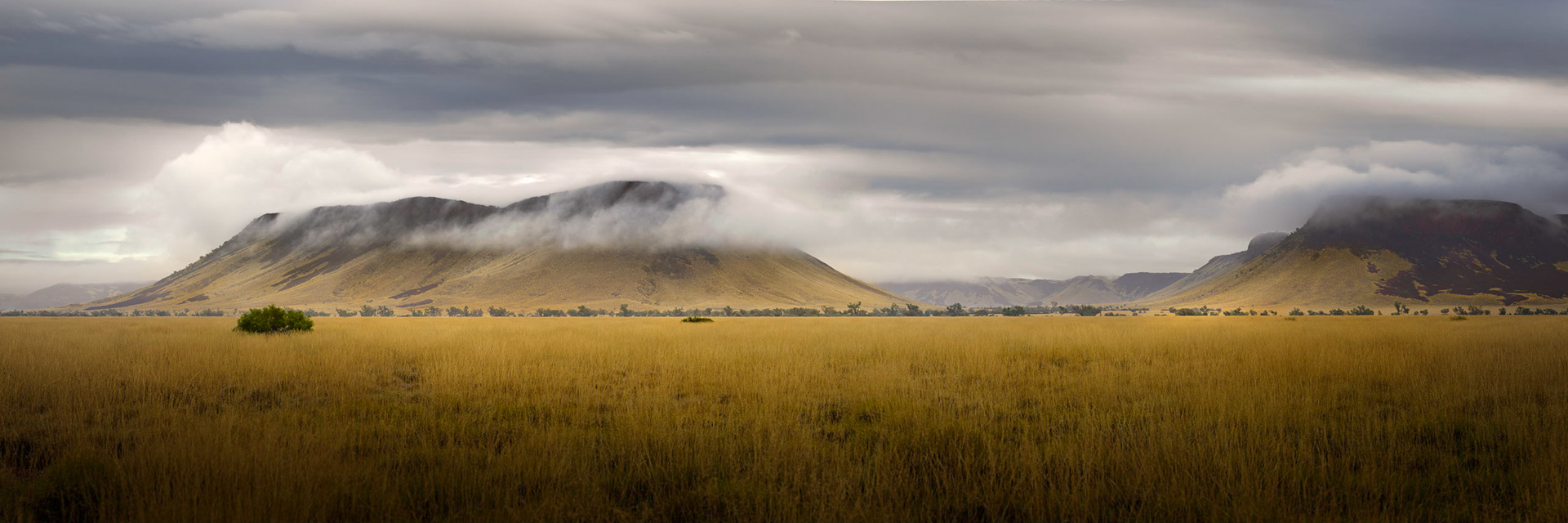 Millstream Mist - Pilb049