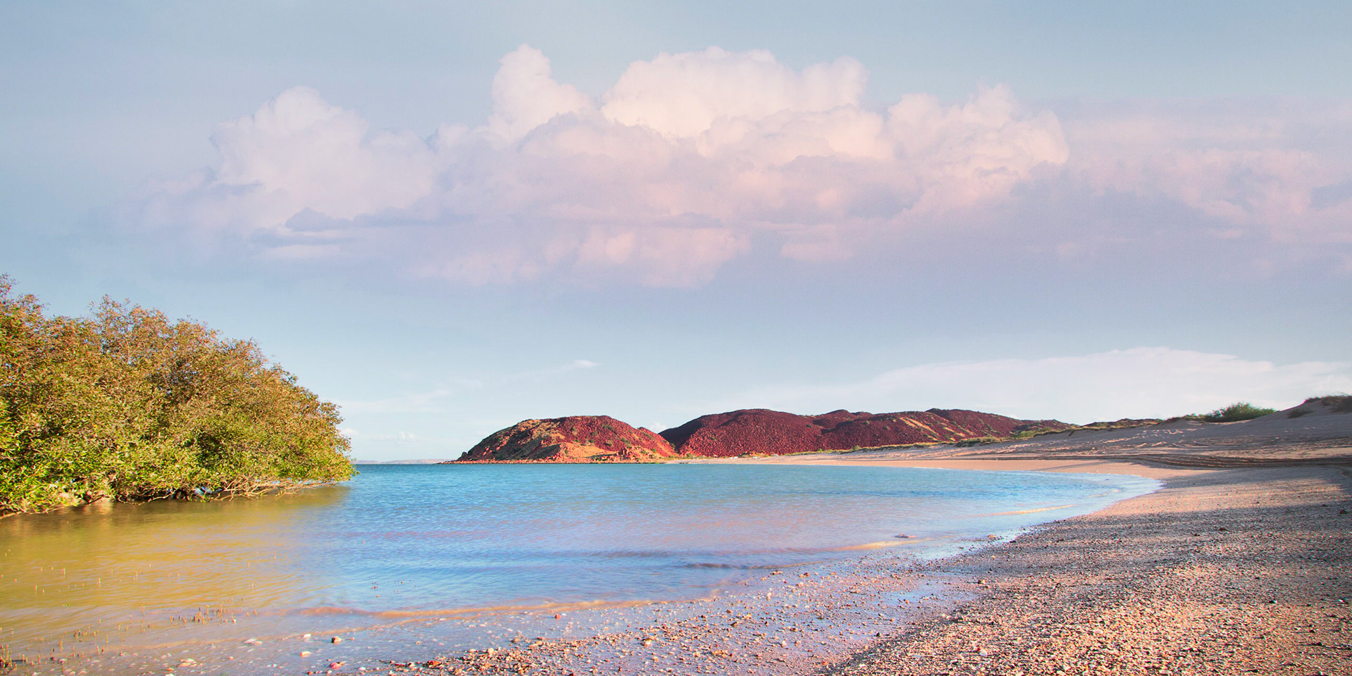 Hearsons Cove - Order Code Pilb010