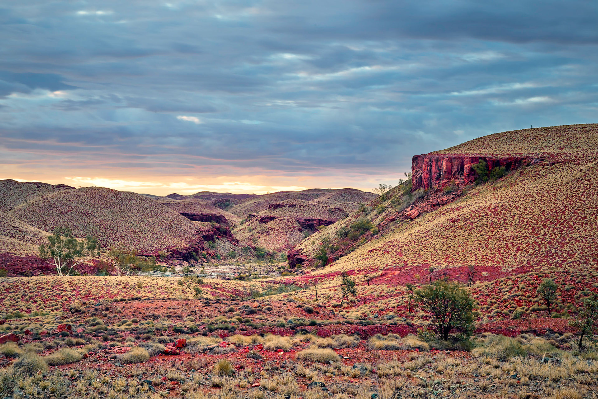 Red Dog Gorge - Order Code Pilb056