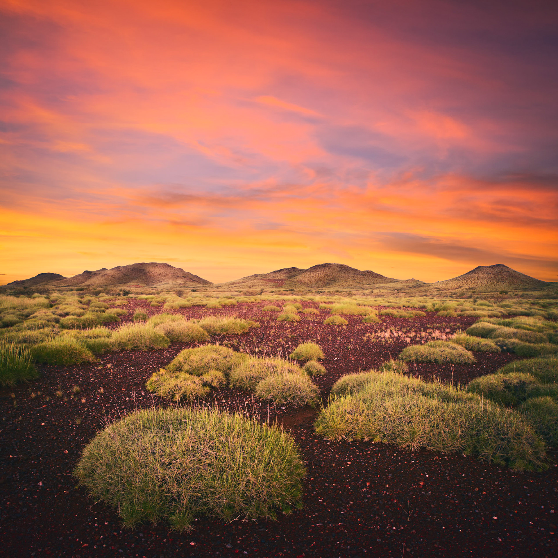 Spinifex Sunset - Order Code Pilb028