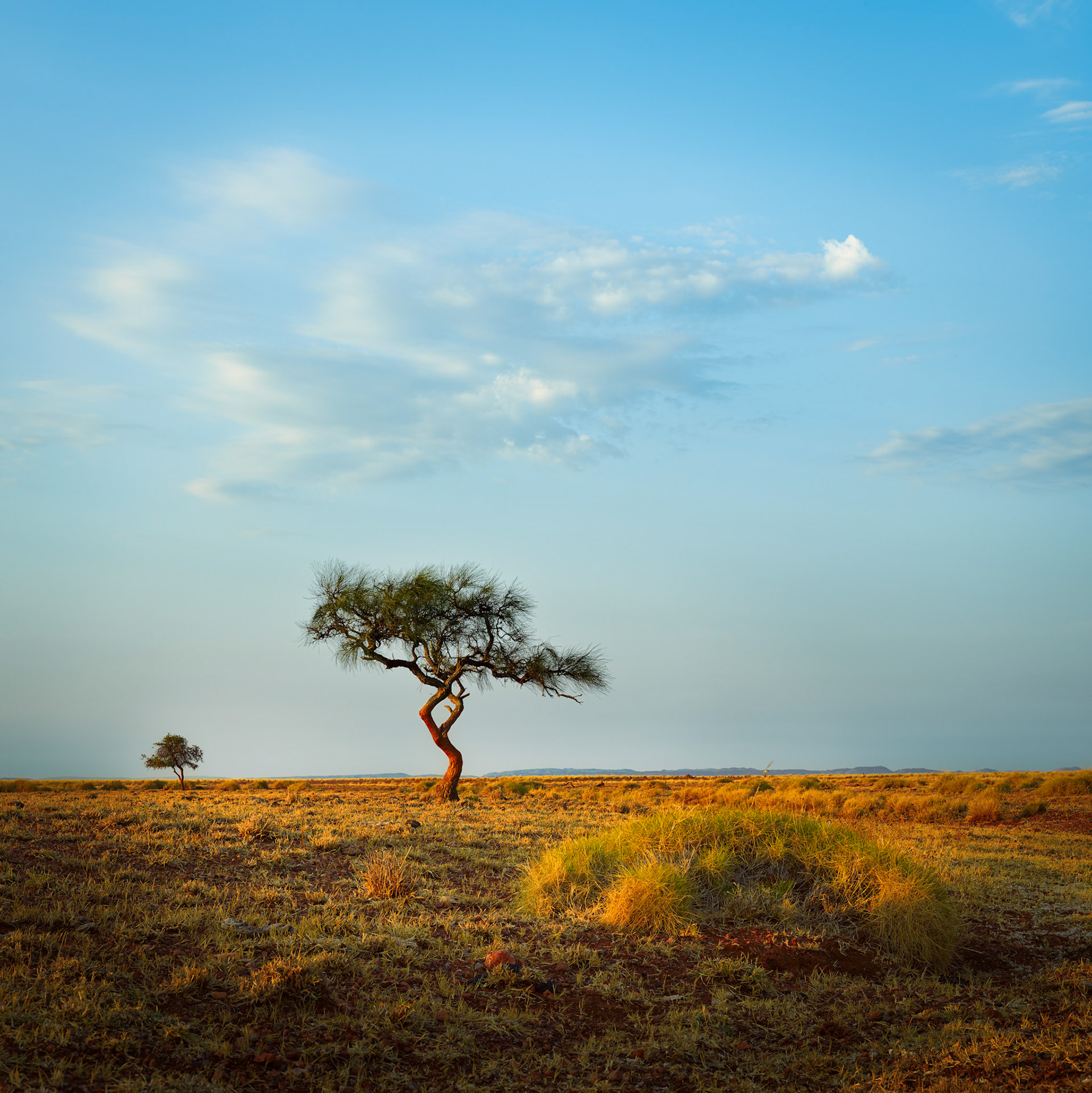 Karratha Station - Order Code Pilb015