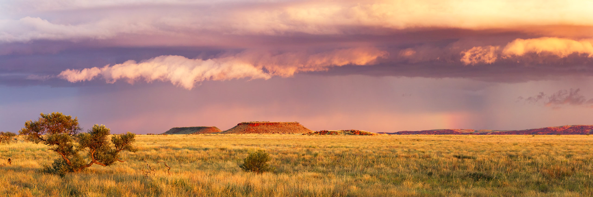 Twin Hills - Order Code Pilb027