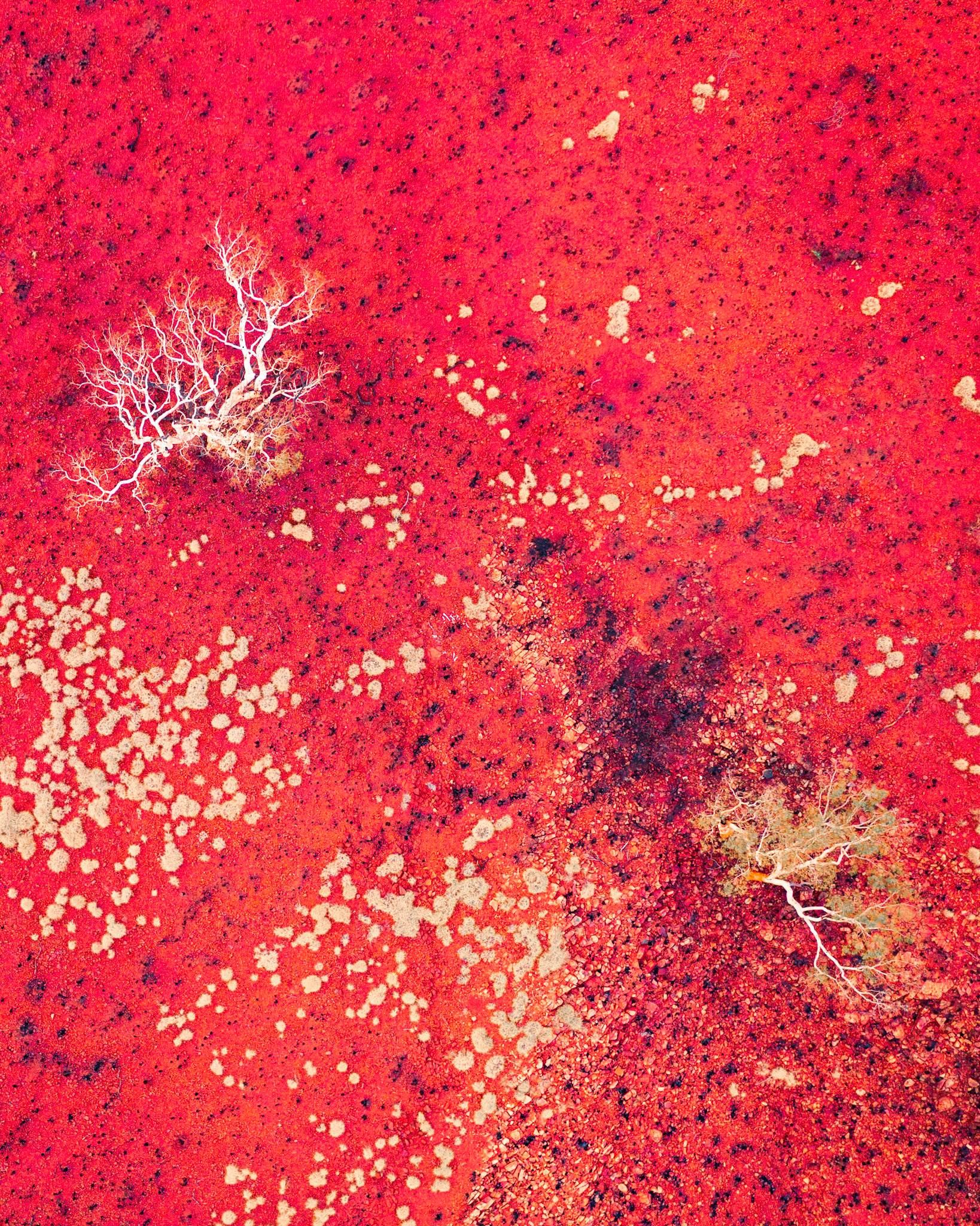 Pilbara Red - Order Code Pilb061