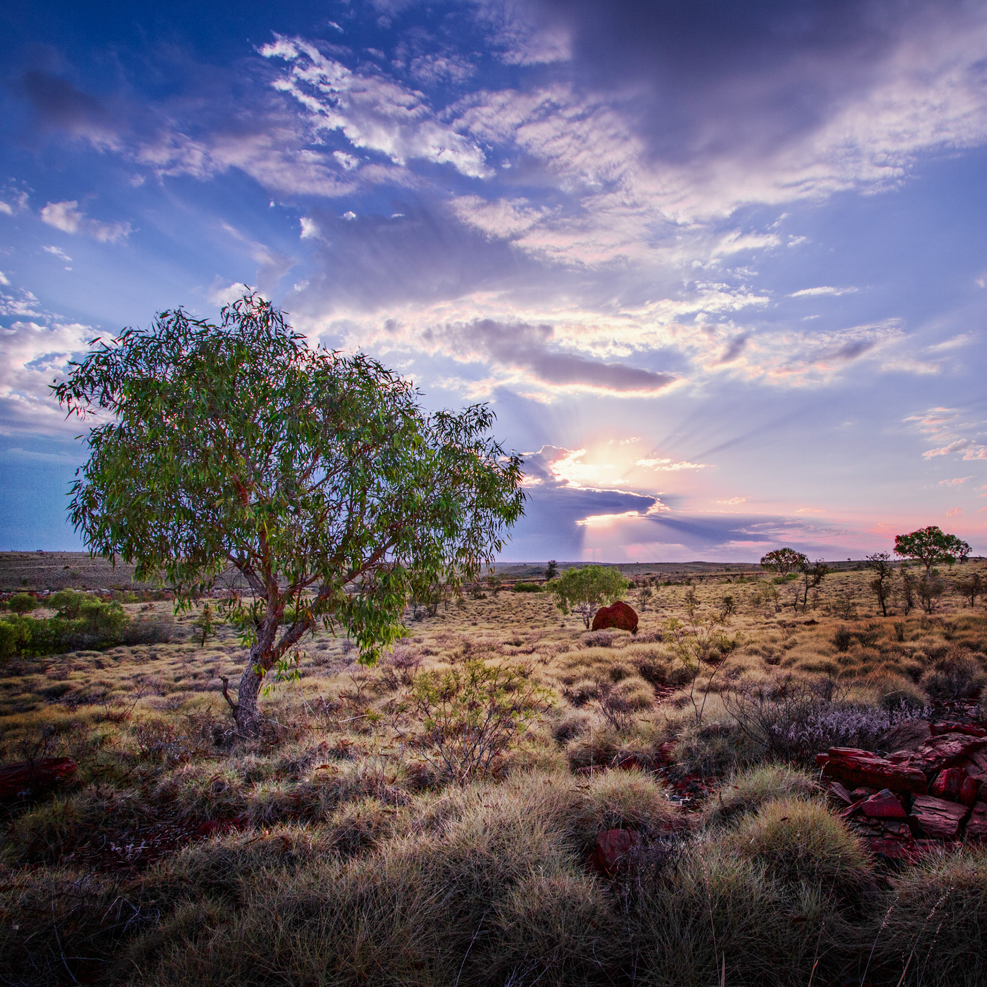 Pilbara Evening - Order Code Pilb046