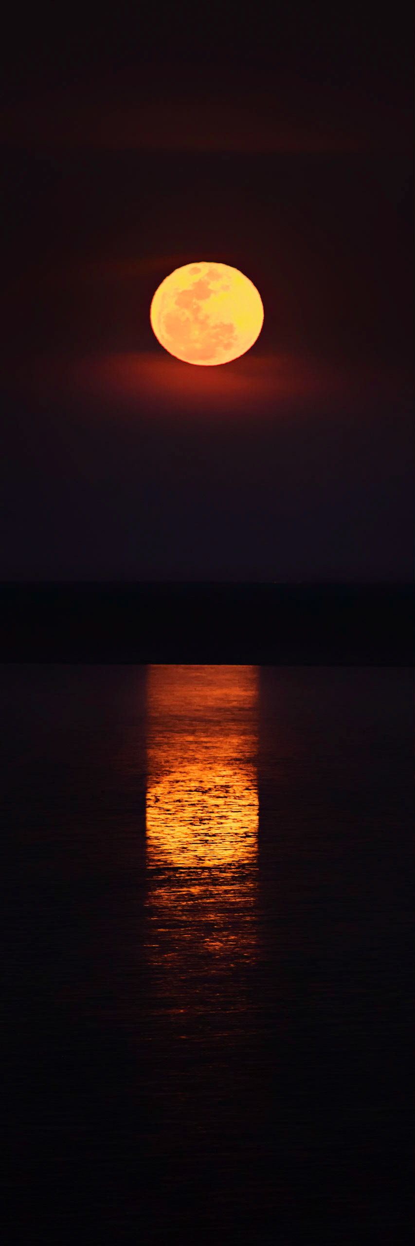 Staircase to the Moon, Hearsons Cove - Order Code Pilb020