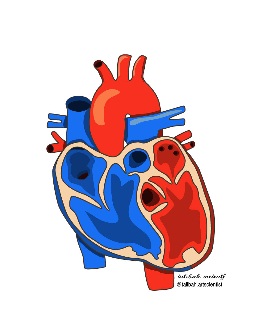 Created using Adobe Illustrator (vector art)