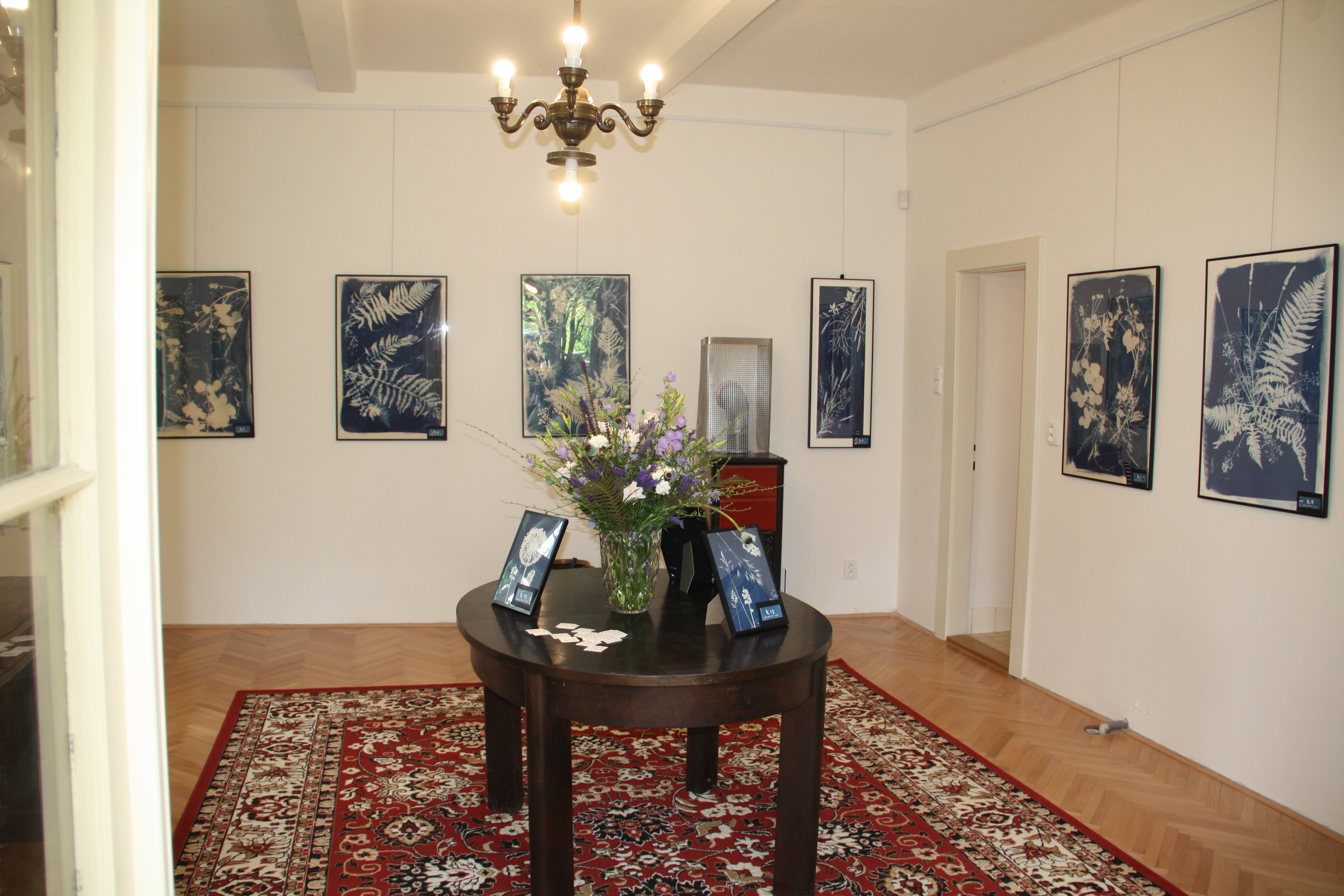 výstava v pavilonu Kneislovky