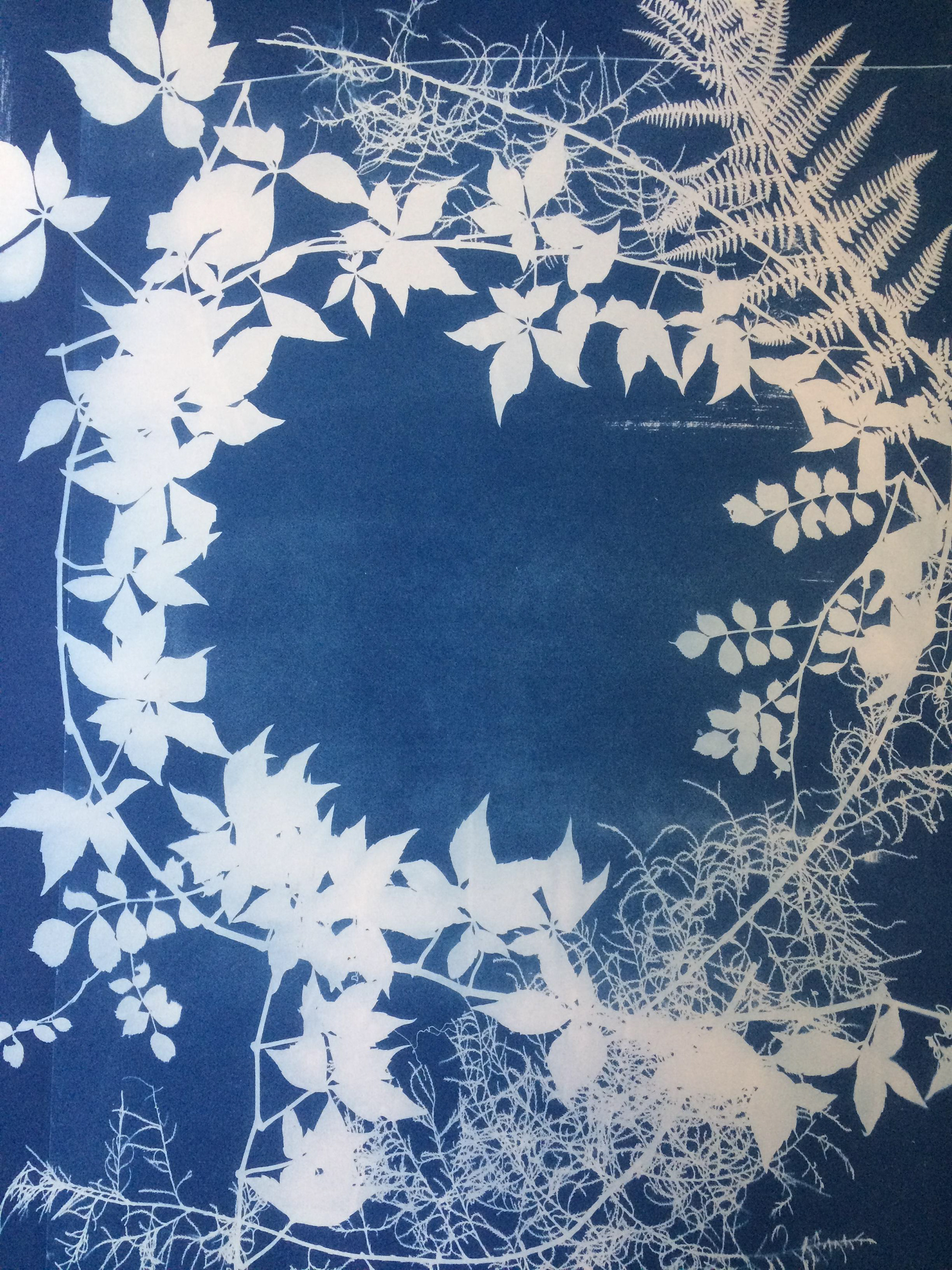 Jeden z obrazů na výstavě kyanotypií