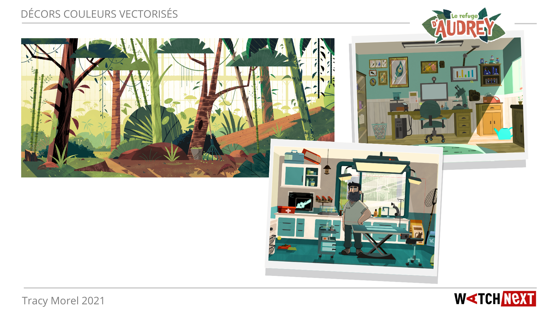 Décors couleurs vectorisés réalisés lors de mon stage sur le développement du projet "Le refuge d'Audrey"