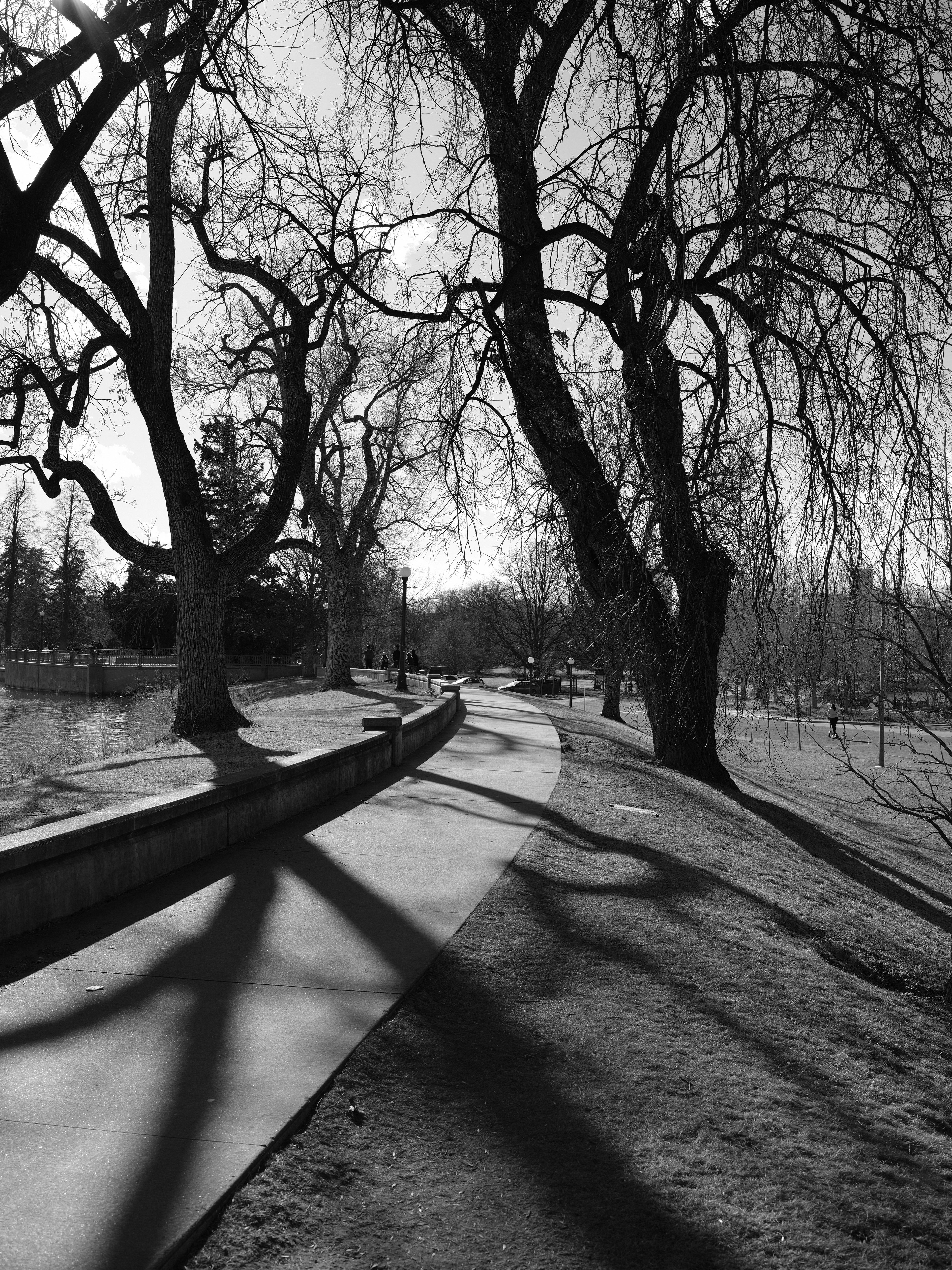 50R - 1/200s, f/8, ISO 100