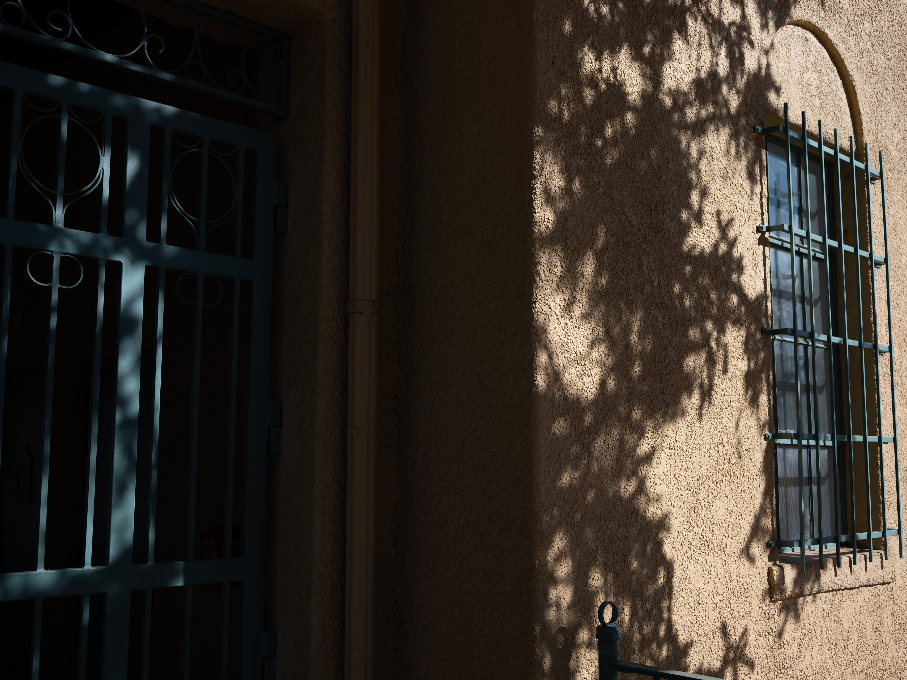 50R - 1/1250s, f/3.5, ISO 100