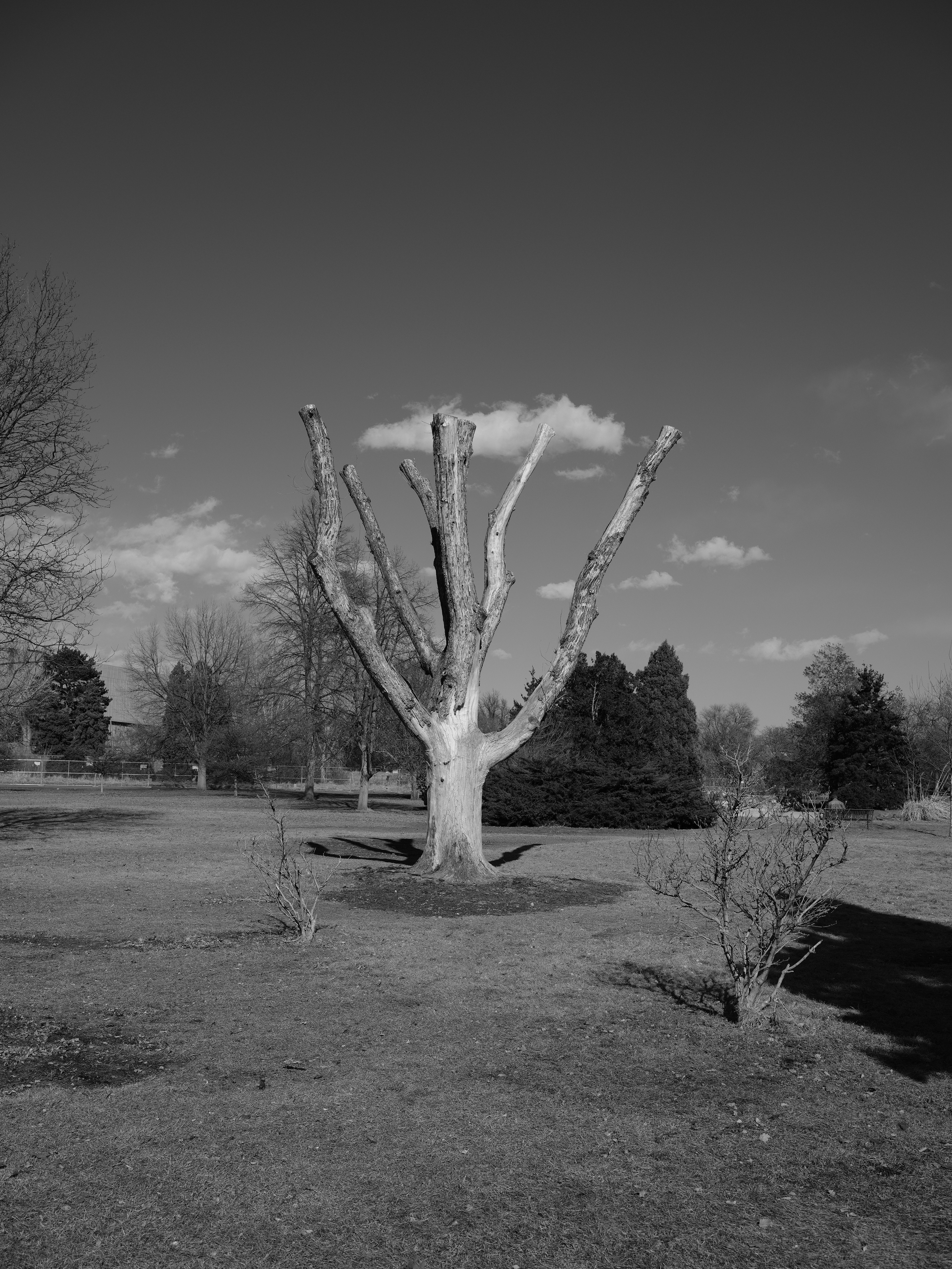 50R - 1/400s, f/9, ISO 100