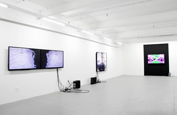 Oculus 1 & 2, installation view, Microscope Gallery