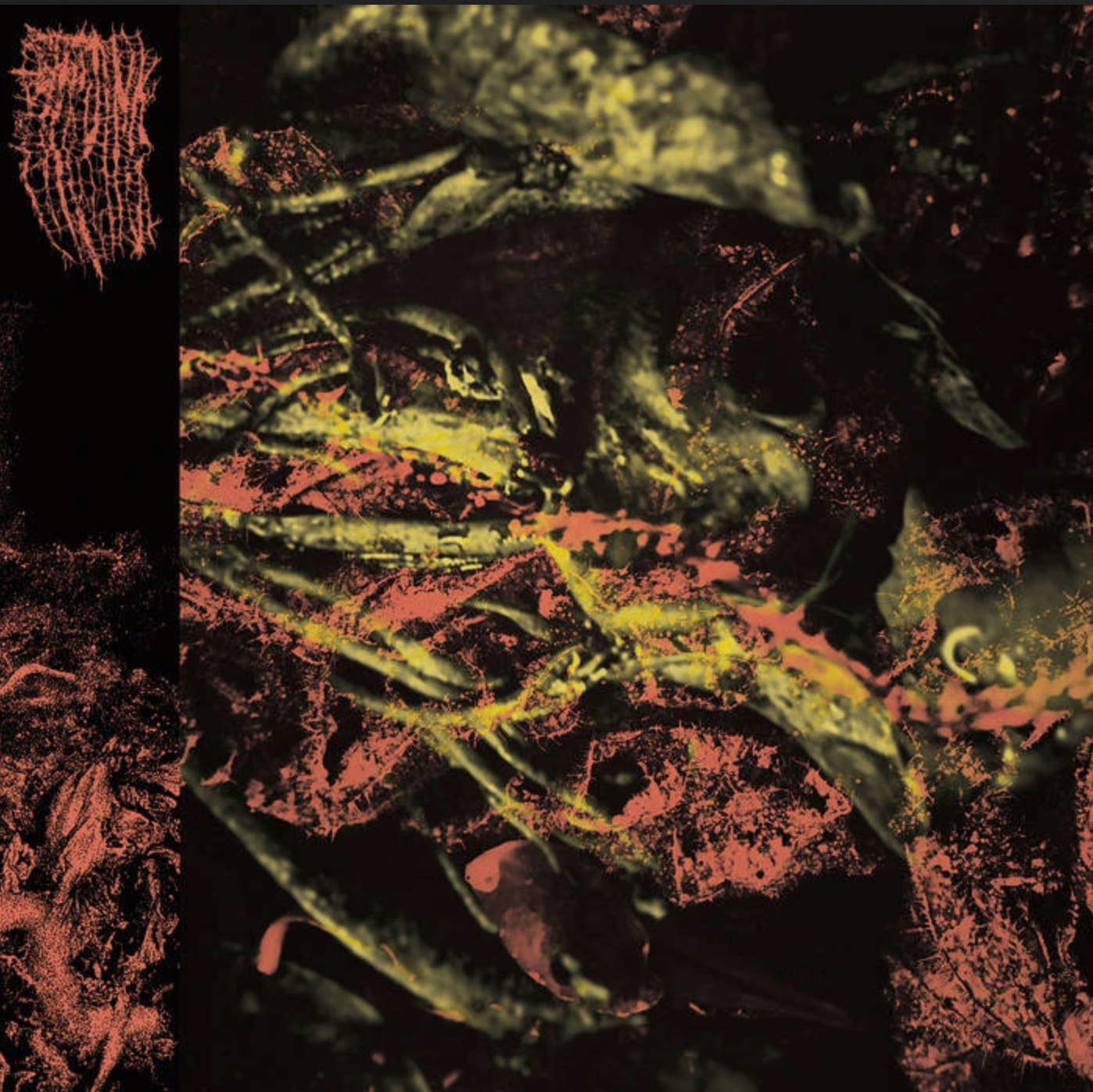 Photography for Hissing’s Permanent Destitution on Profound Lore.