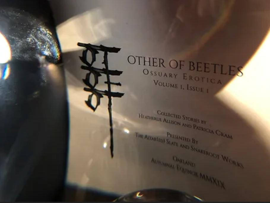 OTHER OF BEETLES. Co-authored and edited with Heatherlie Allison.