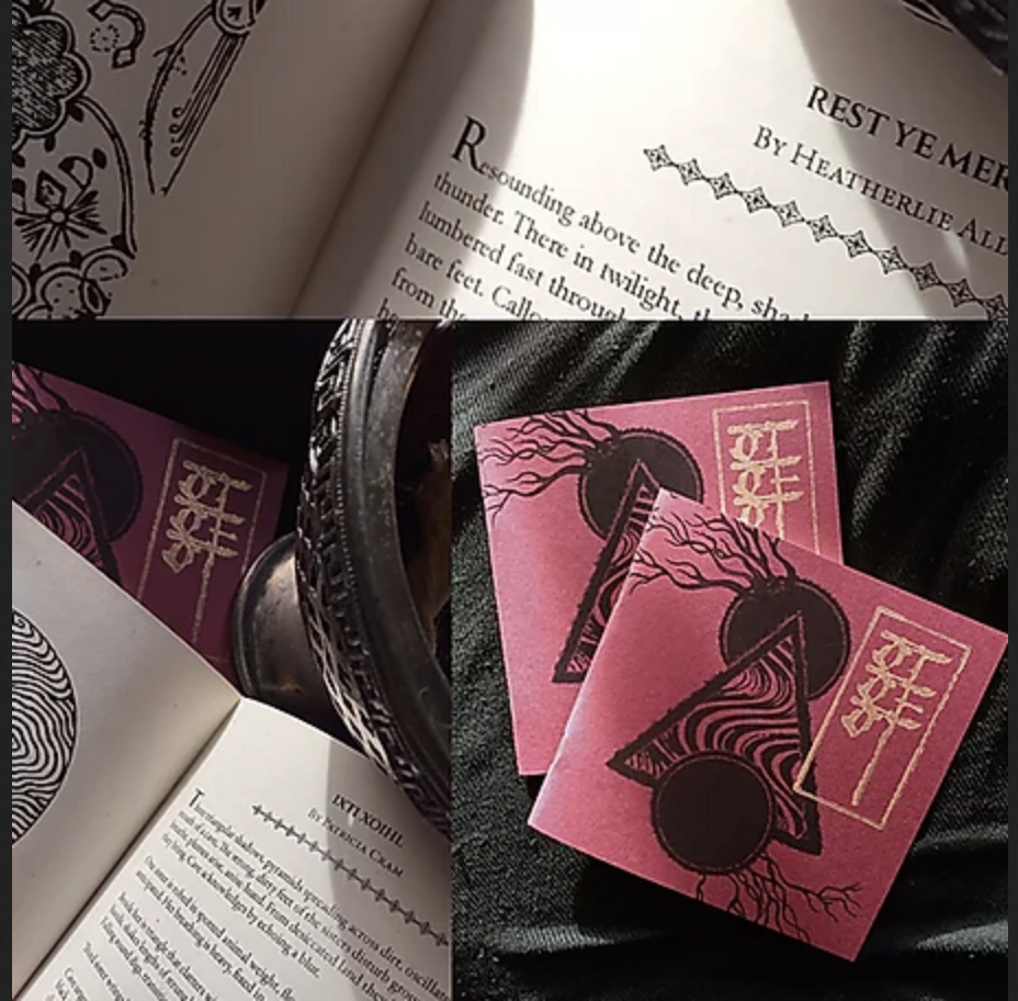 OTHER OF BEETLES. Co-authored and edited with Heatherlie Allison.